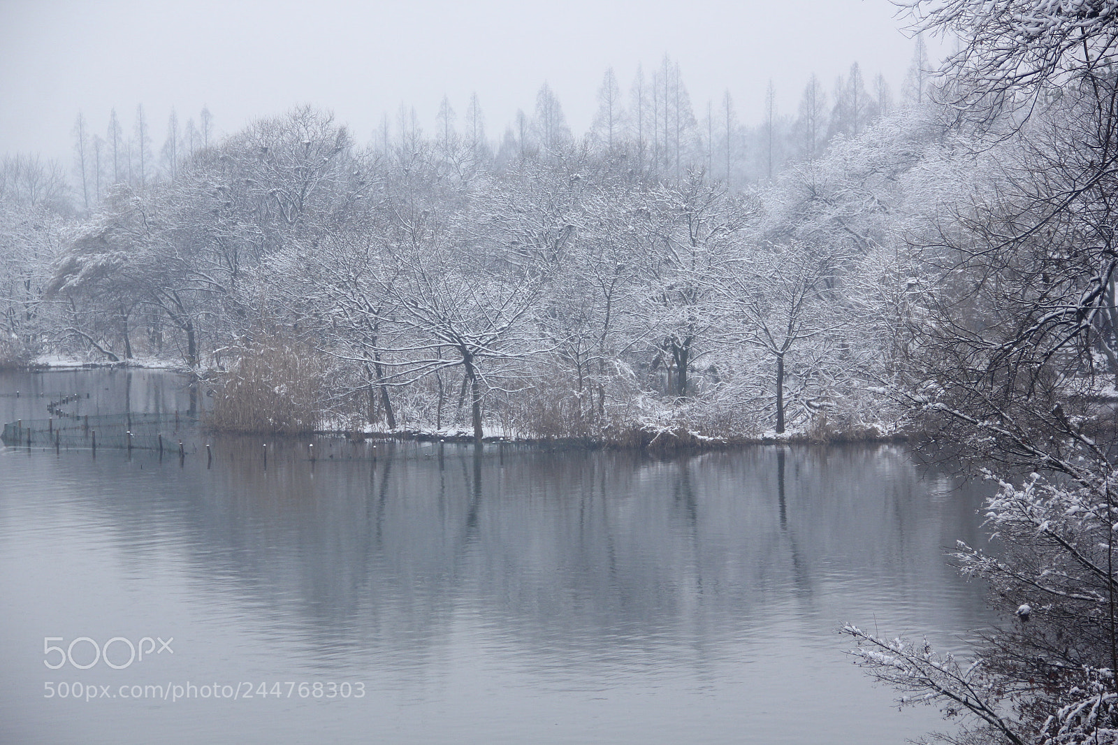 Canon EF-S 18-135mm F3.5-5.6 IS sample photo. 西湖茅家埠之三 photography