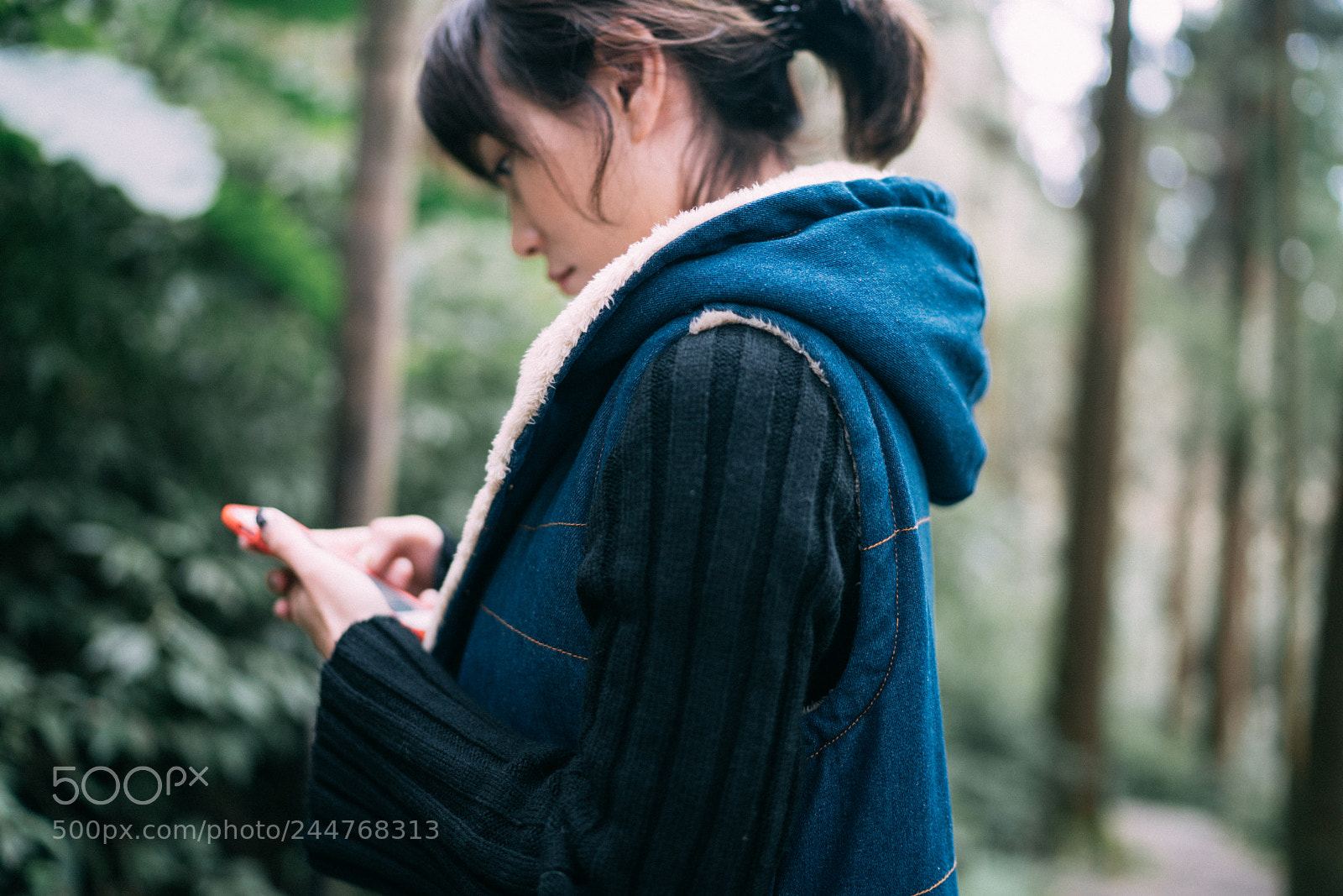 Sony a7R II sample photo. Sch08311-1.jpg photography