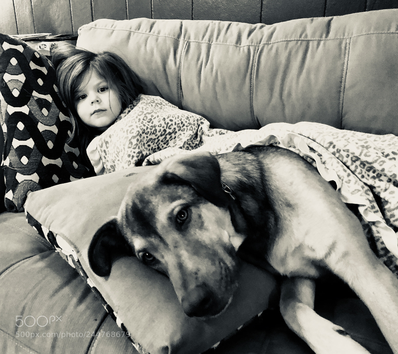 Apple iPhone X sample photo. Snuggles photography