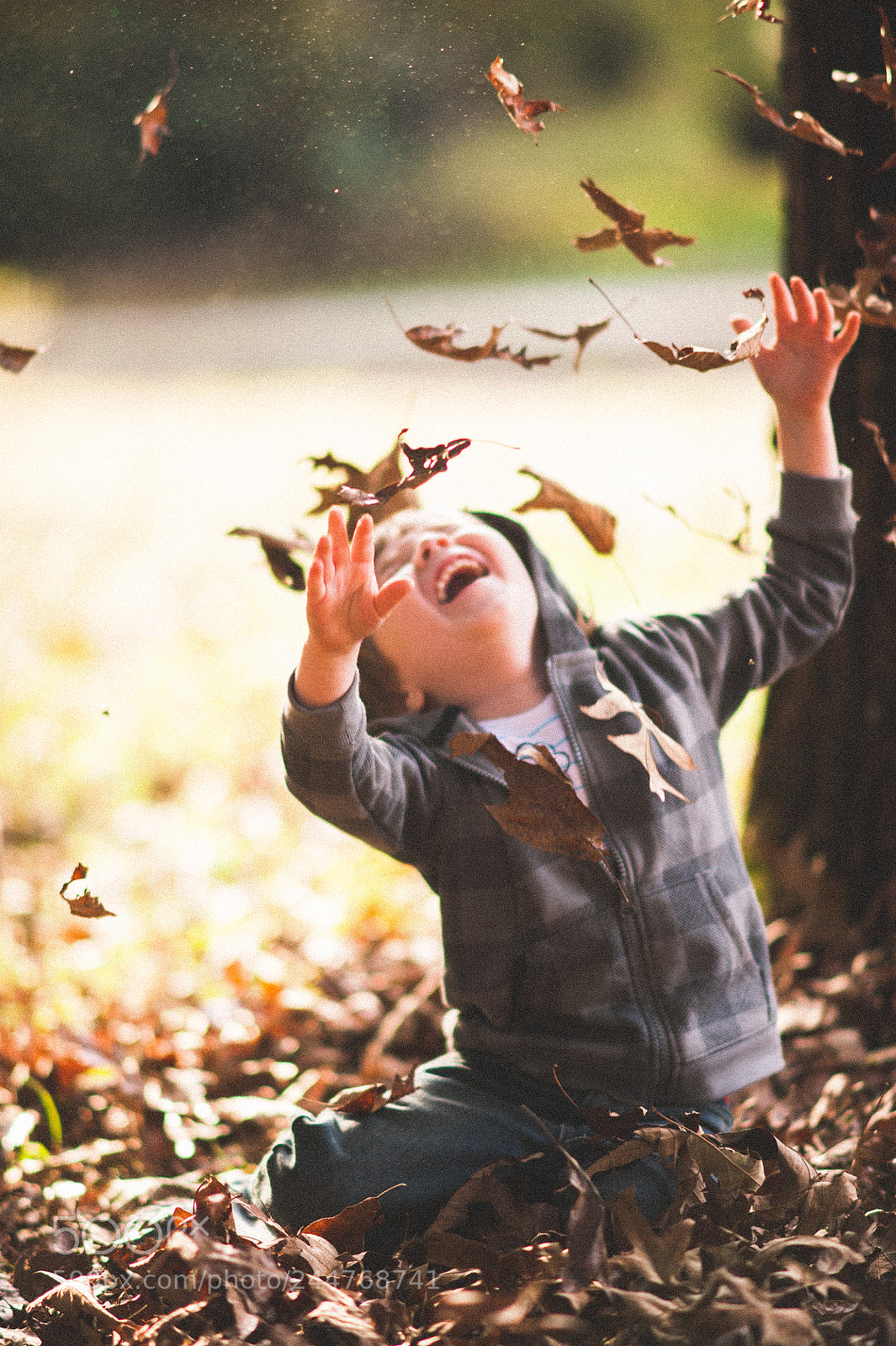 Nikon D700 sample photo. Carefree photography