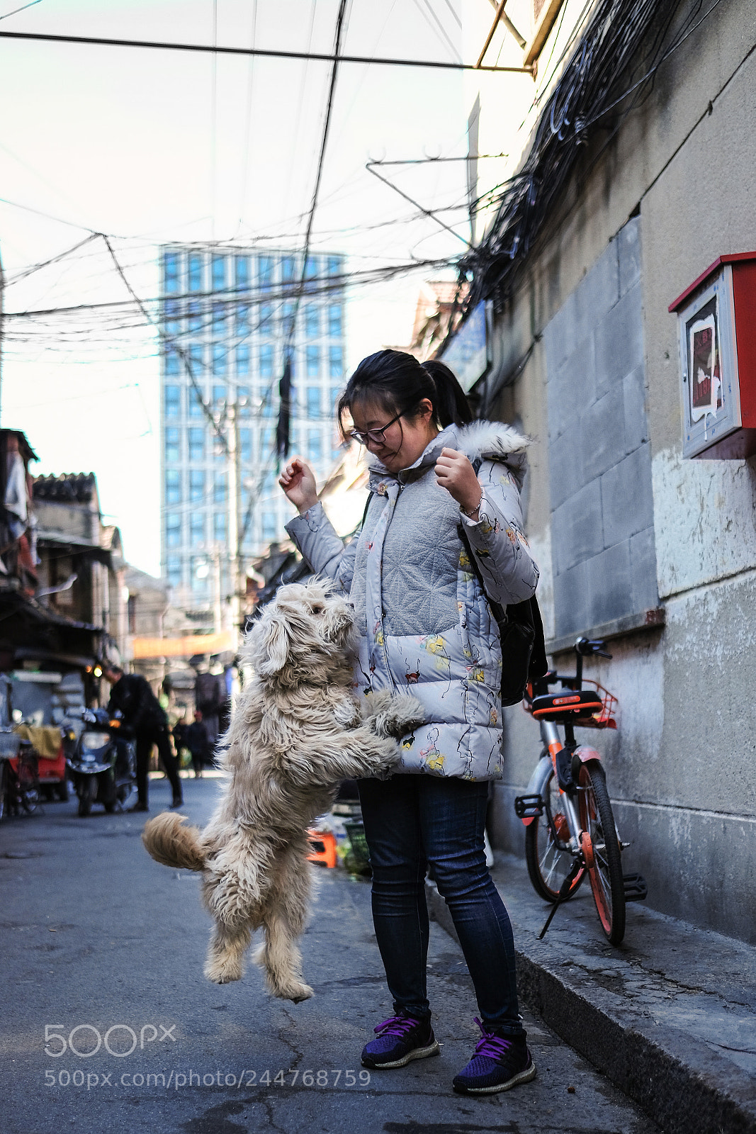 Fujifilm X-T2 sample photo. Untitled photography