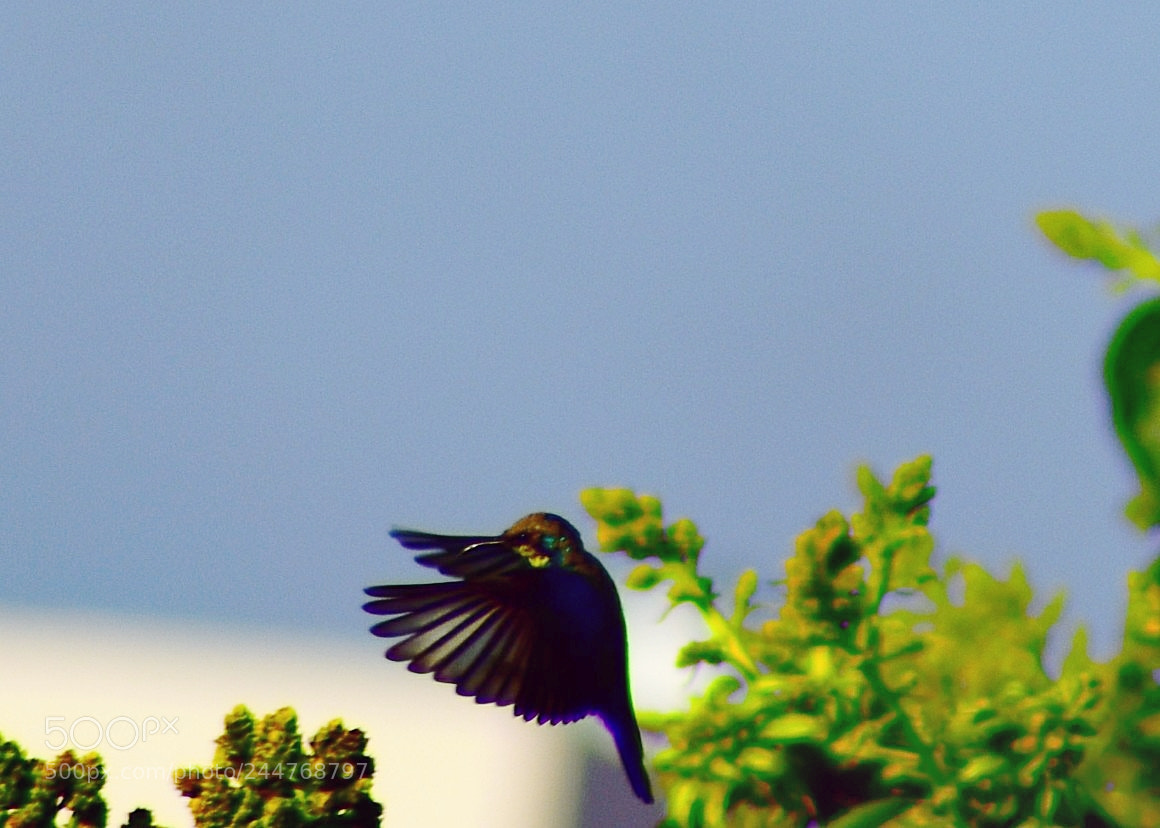 Nikon D3400 sample photo. Untitled photography