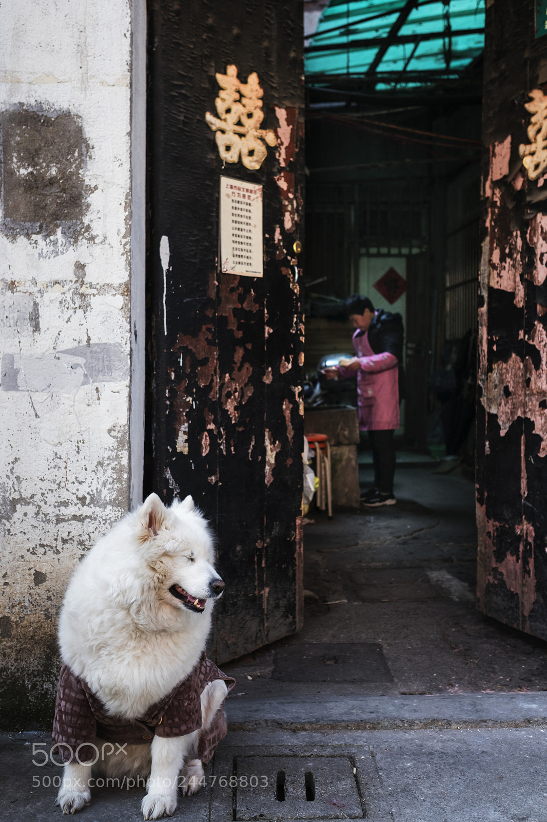 Fujifilm X-T2 sample photo. Untitled photography