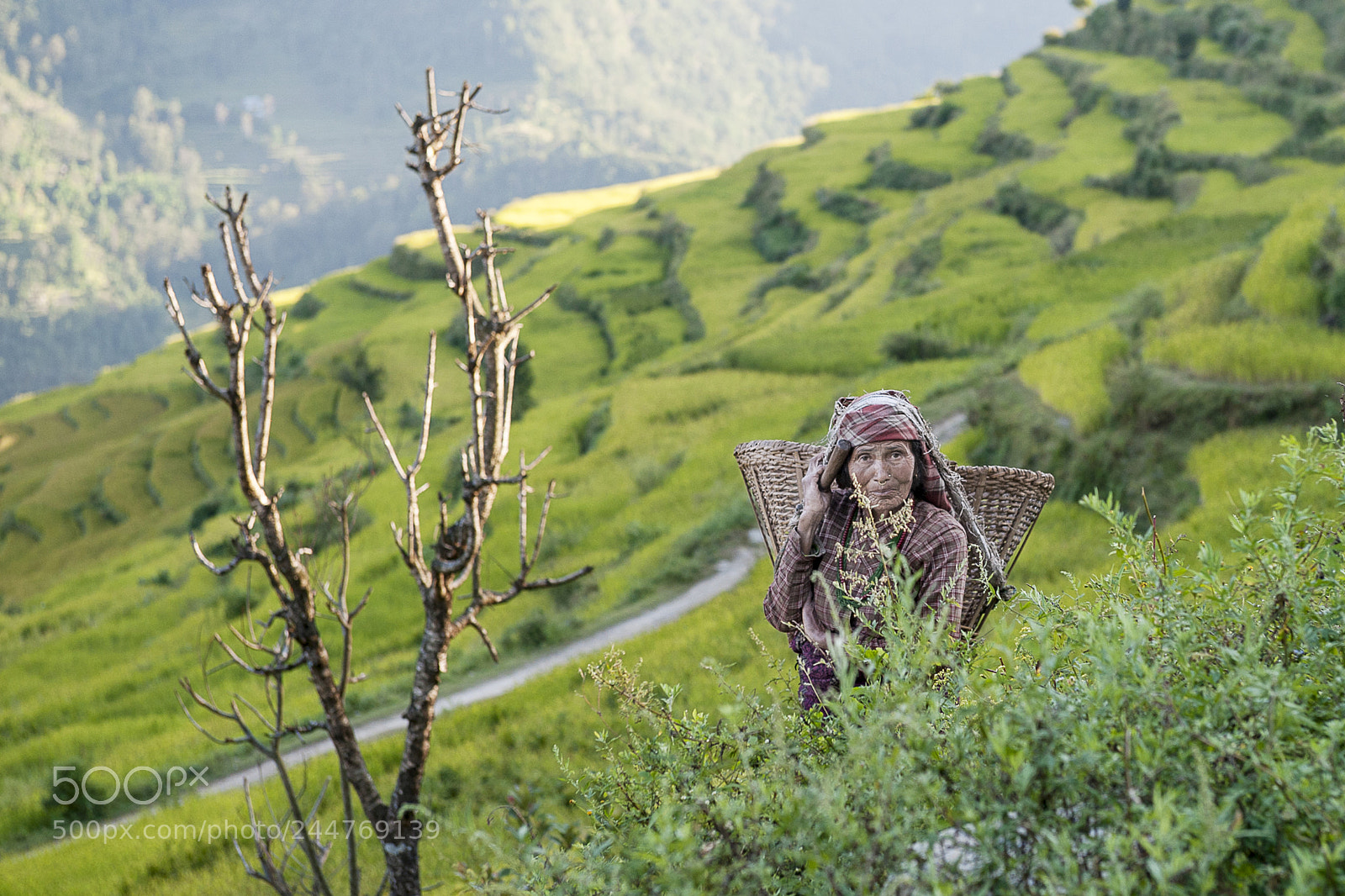 Nikon D700 sample photo. Mude in nepal photography