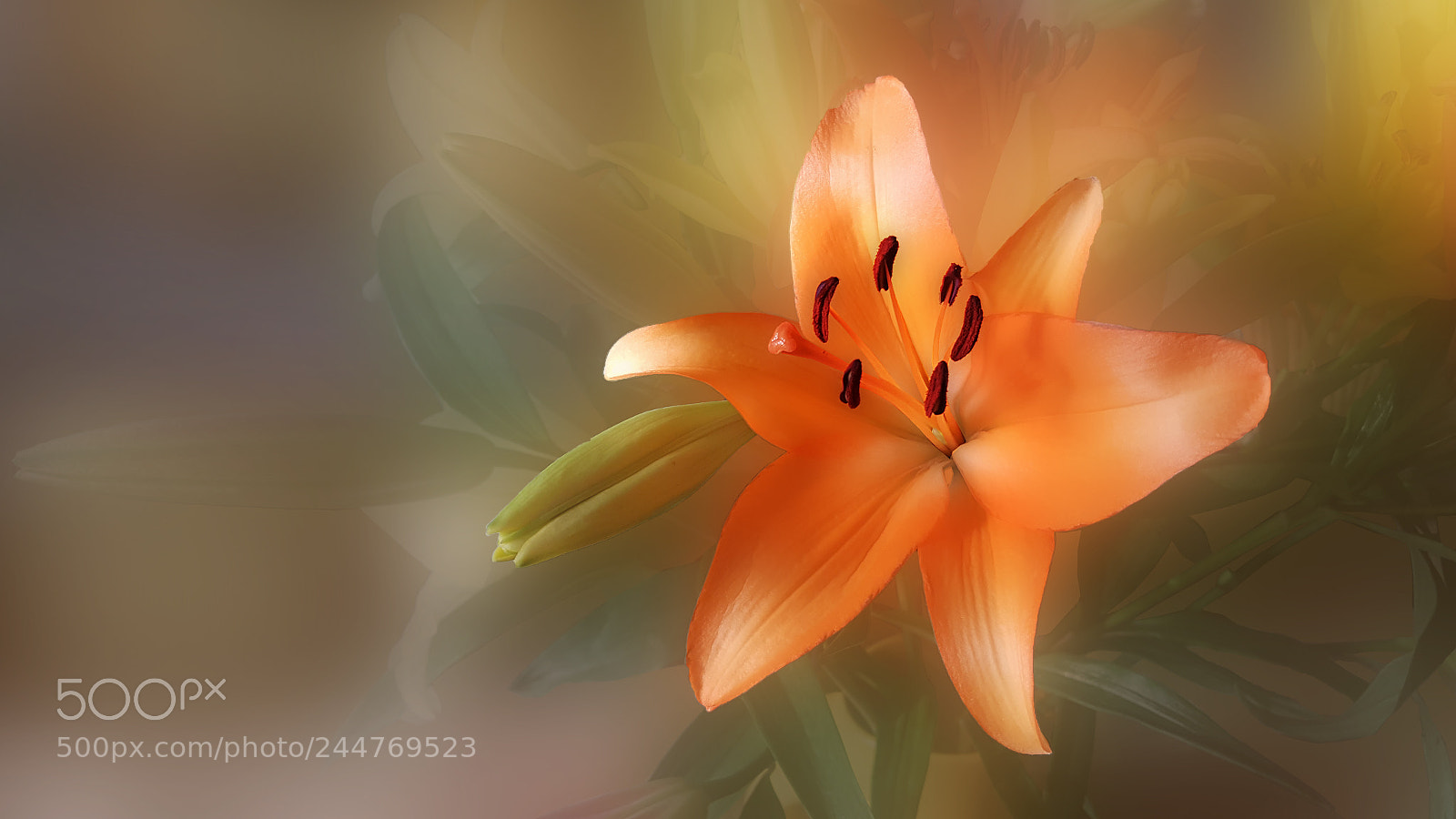 Samsung Galaxy Note5 sample photo. Lily in a bouquet photography