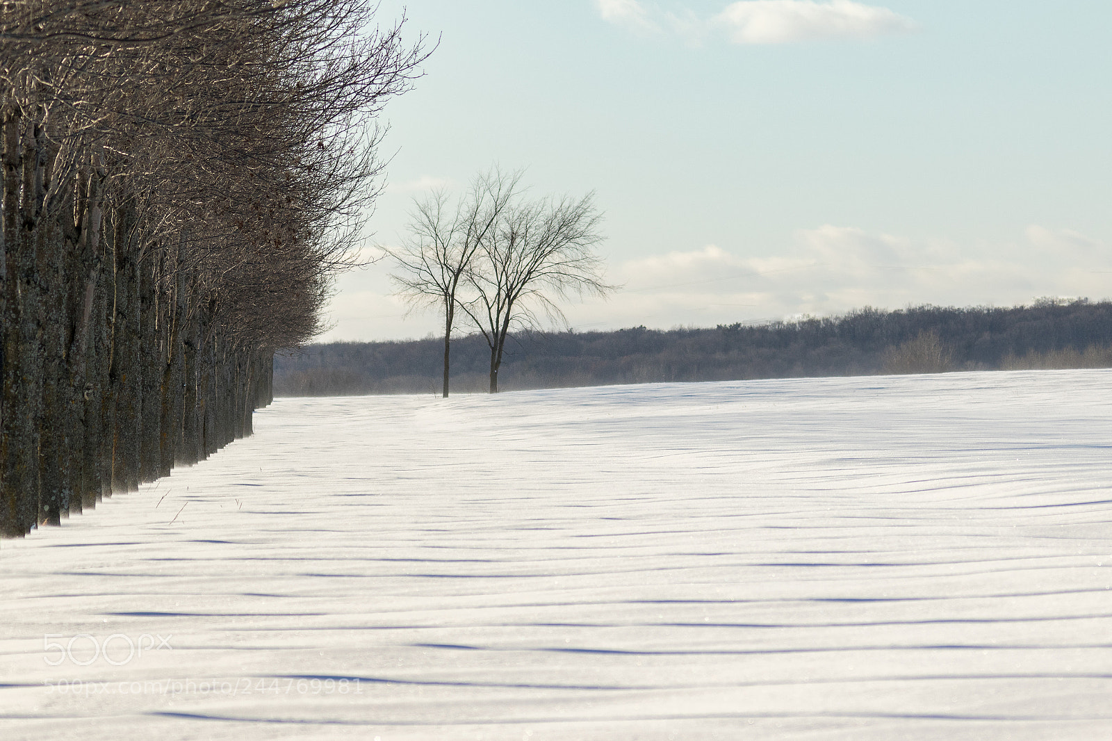 Canon EOS 7D Mark II sample photo. Qa photography