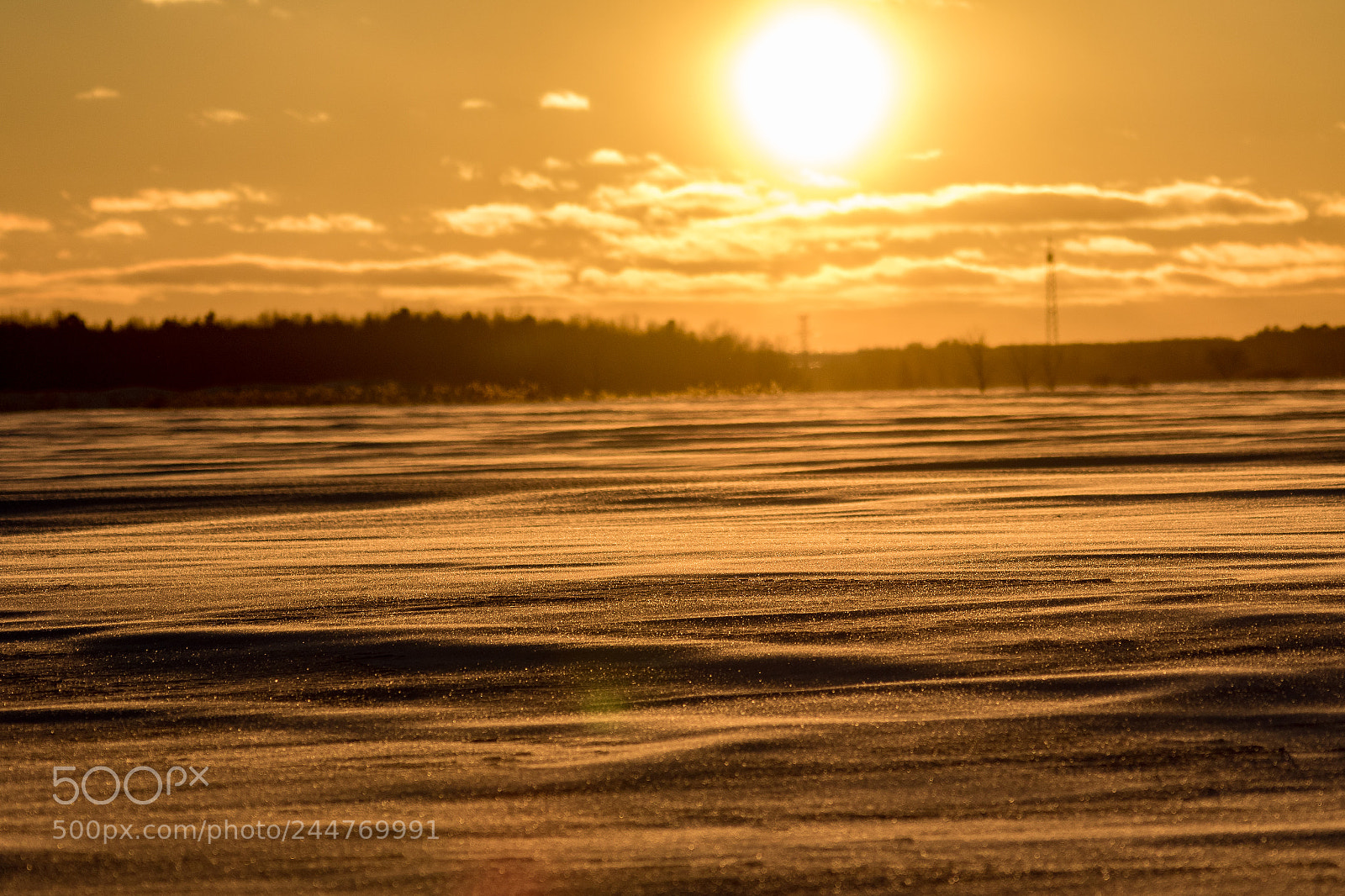 Canon EOS 7D Mark II sample photo. Qa photography