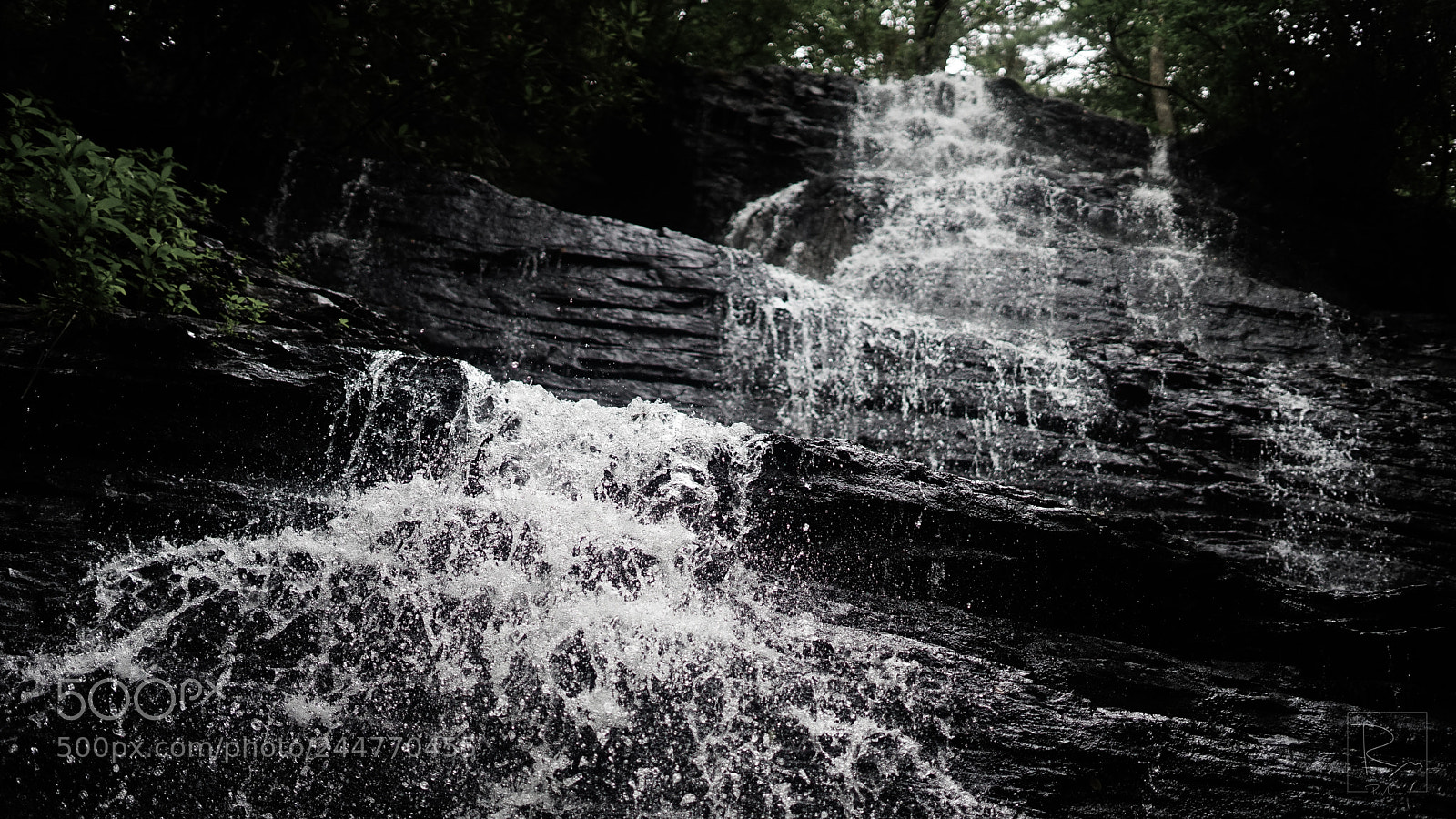 Sony a7 sample photo. The fall photography