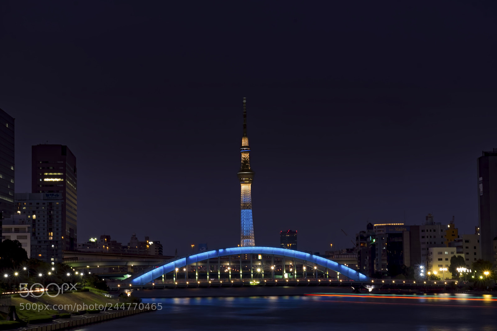 Fujifilm X-T2 sample photo. Bridge featuring the tokyo photography