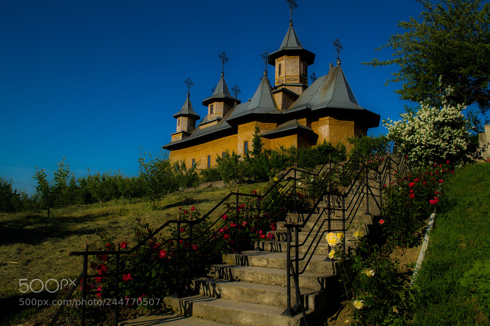 Nikon D3100 sample photo. Husi monastery photography