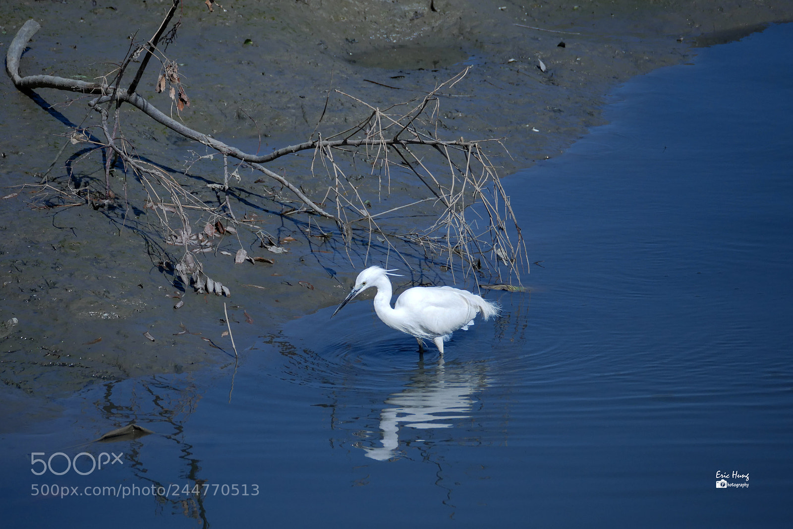 Panasonic Lumix DMC-G85 (Lumix DMC-G80) sample photo. P photography