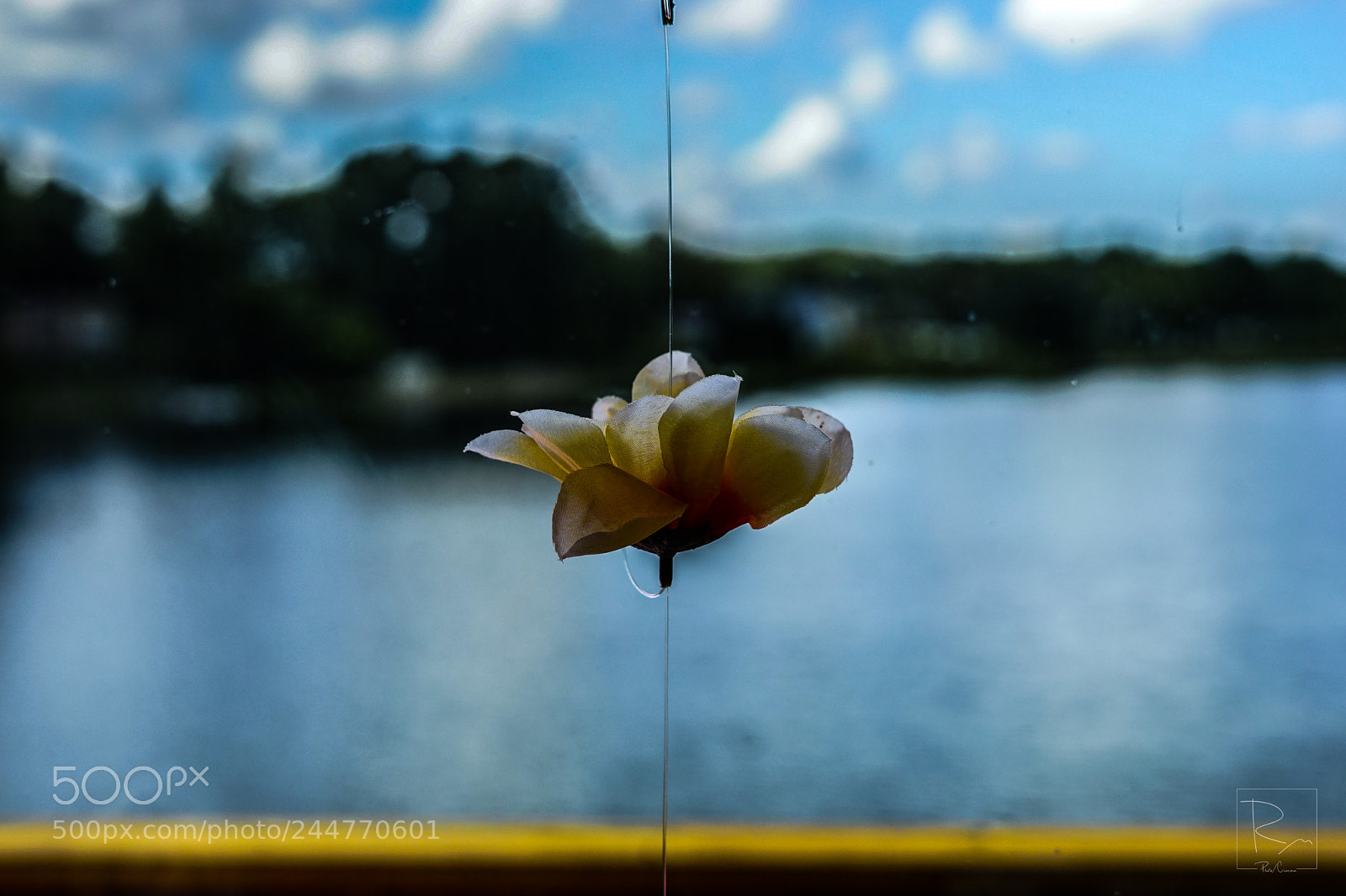 Sony a7 sample photo. Strung photography