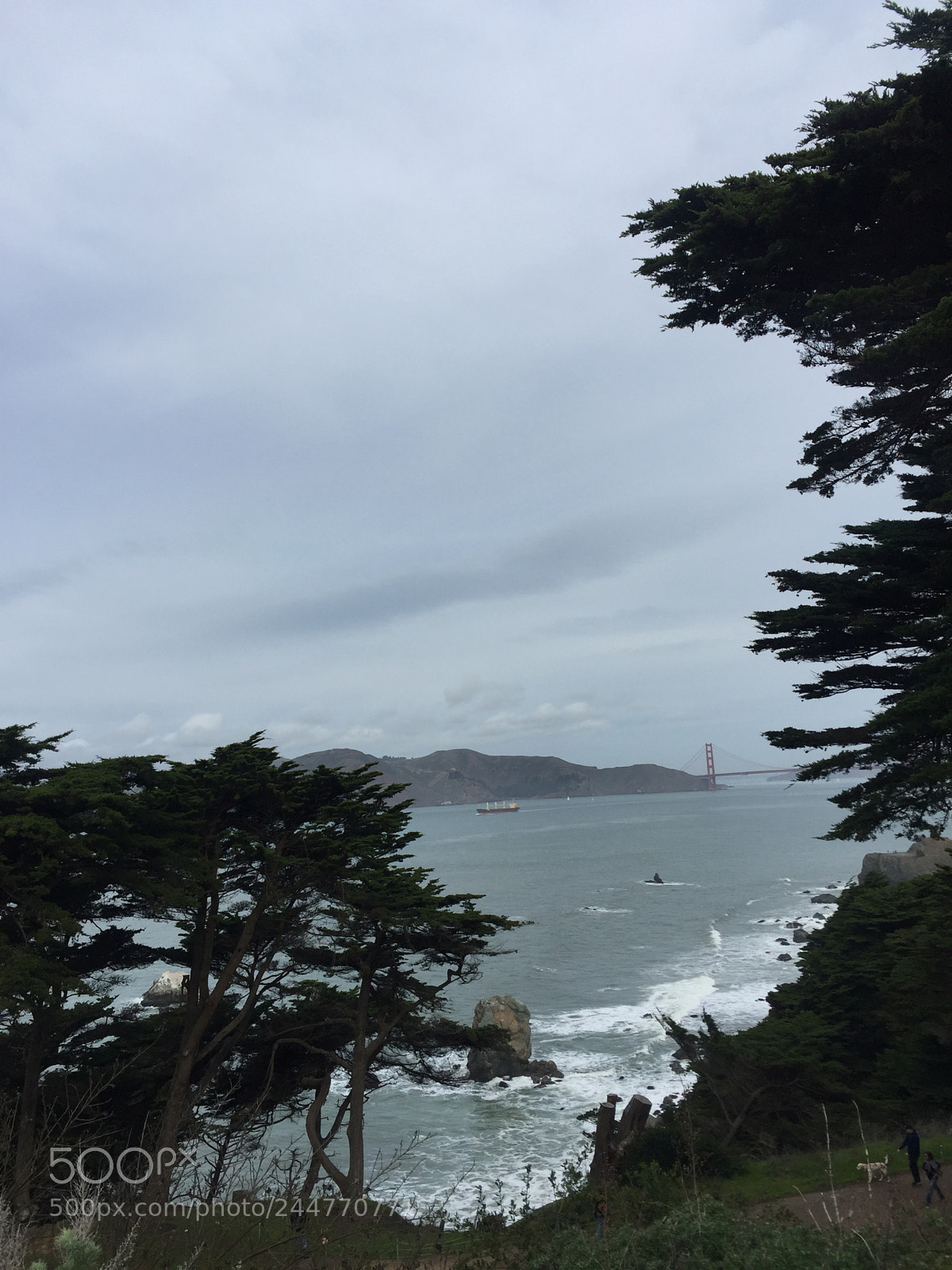 Apple iPhone 6 Plus sample photo. Img photography