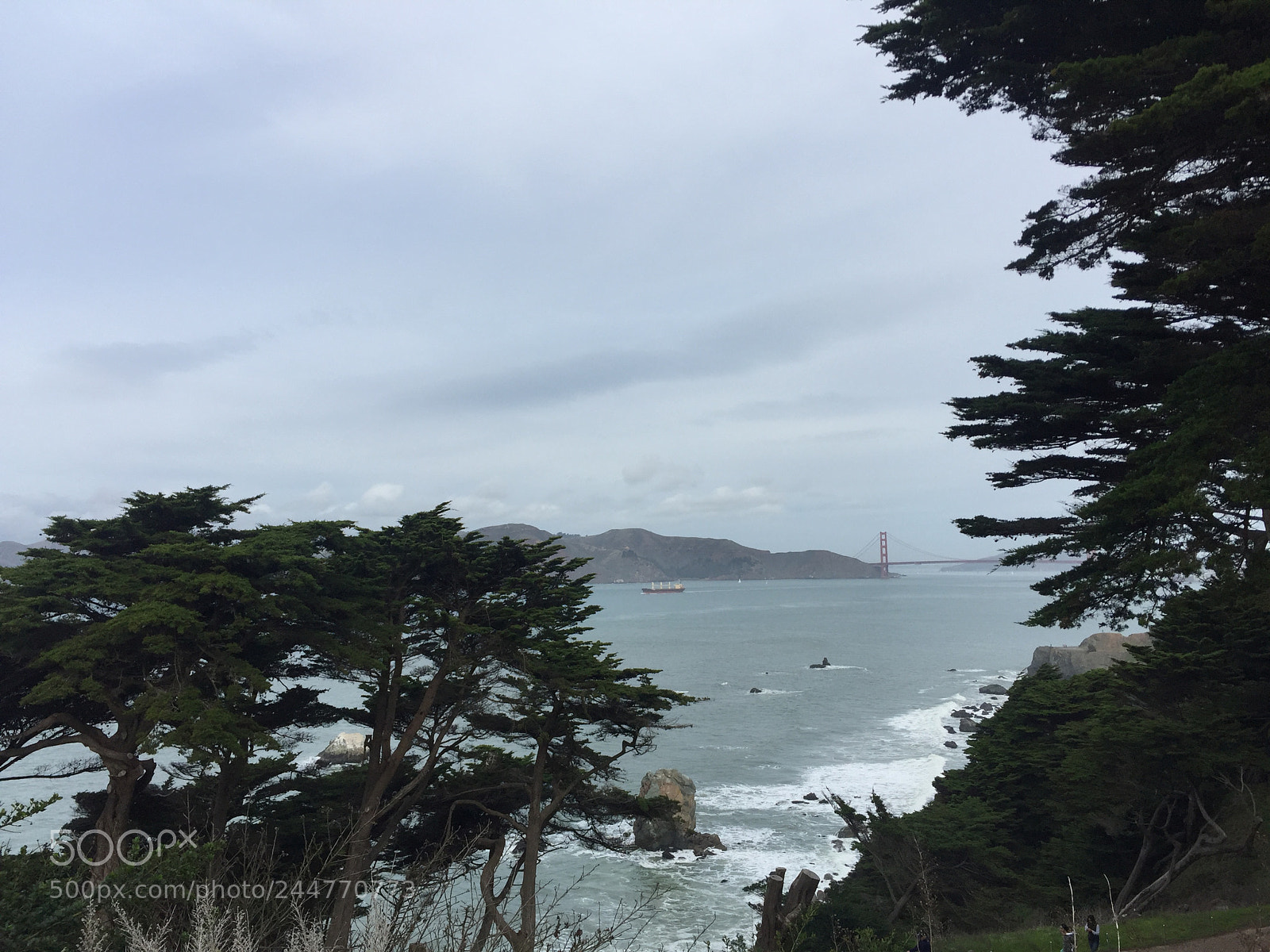 Apple iPhone 6 Plus sample photo. Img photography