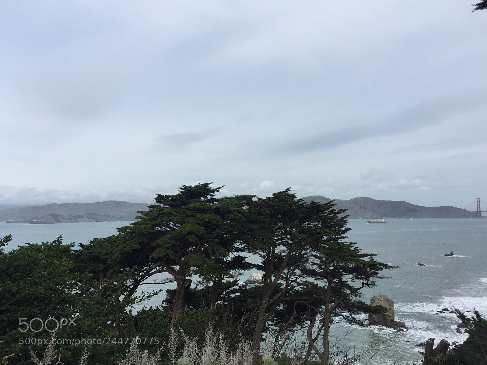 Apple iPhone 6 Plus sample photo. Img photography