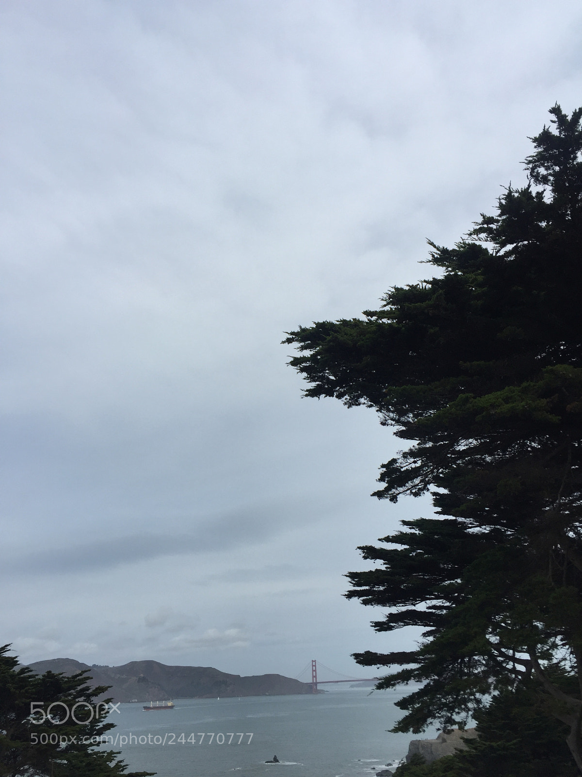 Apple iPhone 6 Plus sample photo. Img photography