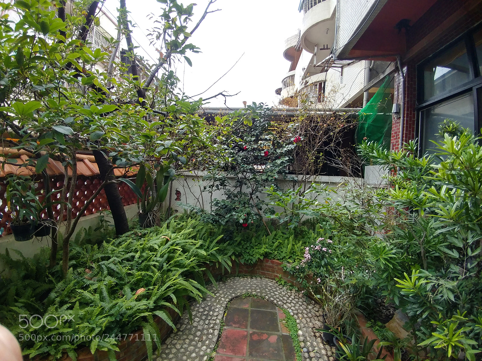 LG V20 sample photo. Untitled photography