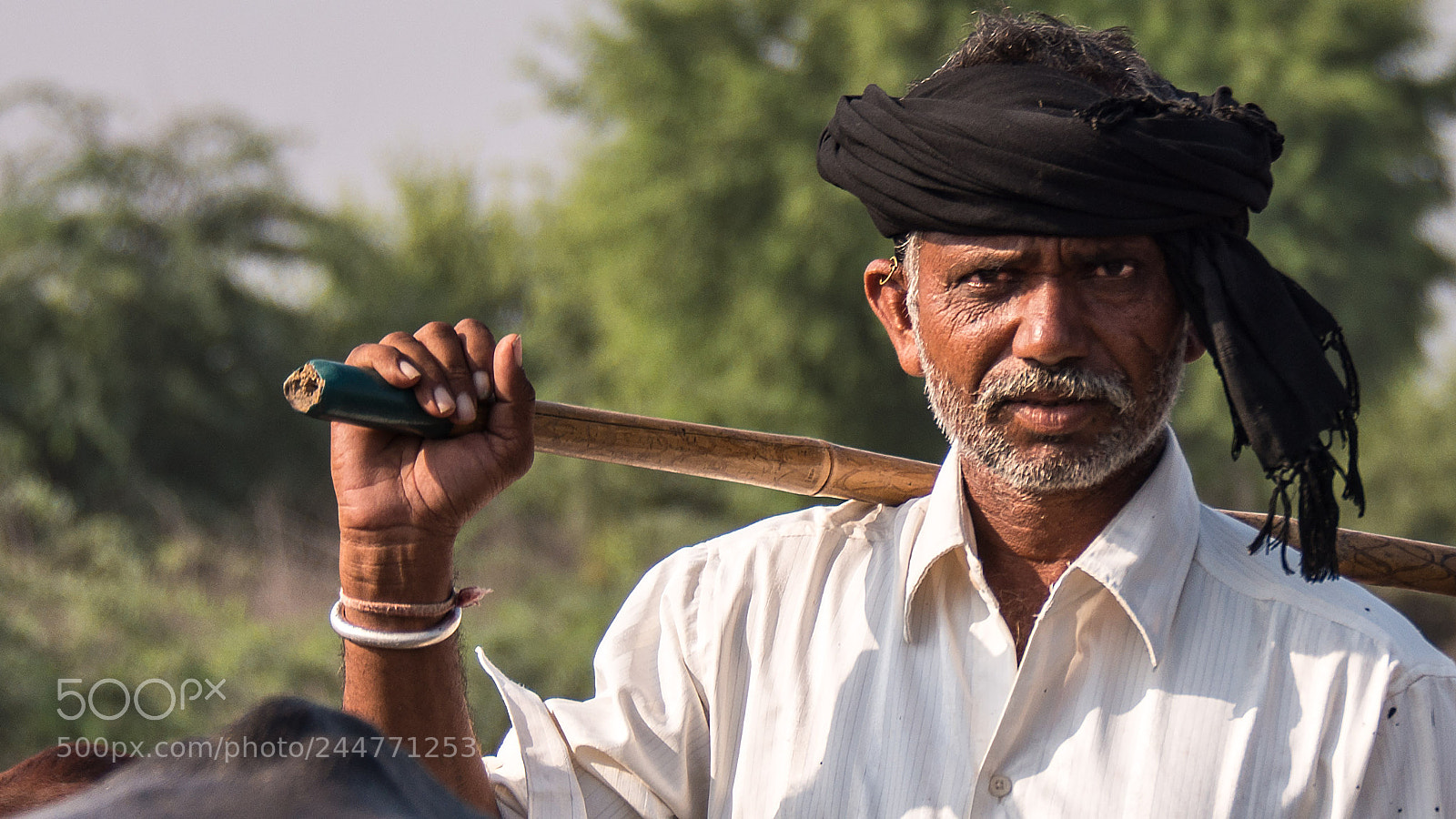 Nikon D800 sample photo. Where did that photographer photography