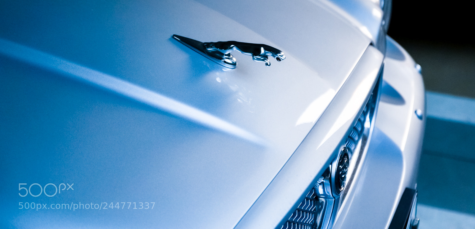 Nikon D3100 sample photo. Jaguar xj photography