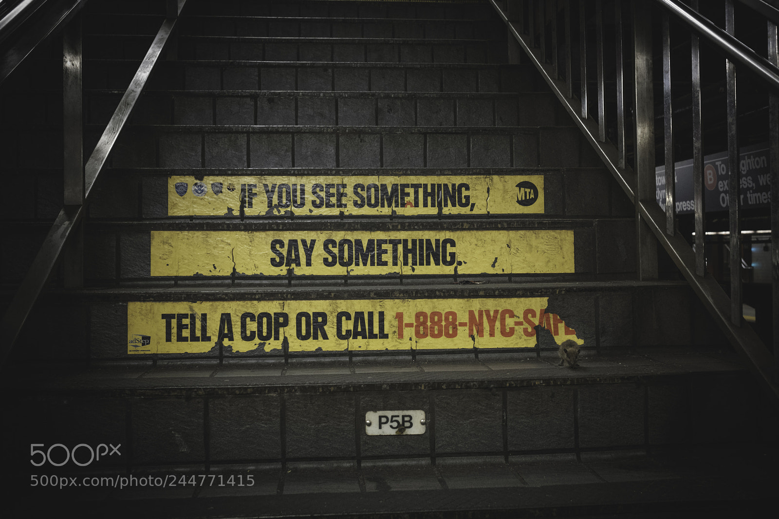 Fujifilm X-T2 sample photo. If you see something... photography