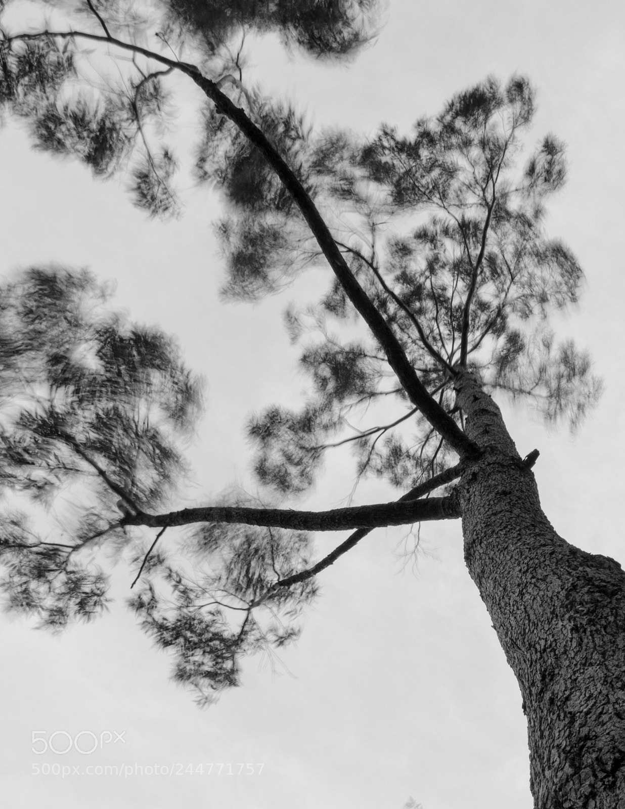 Olympus OM-D E-M5 II sample photo. Bending with the flow photography