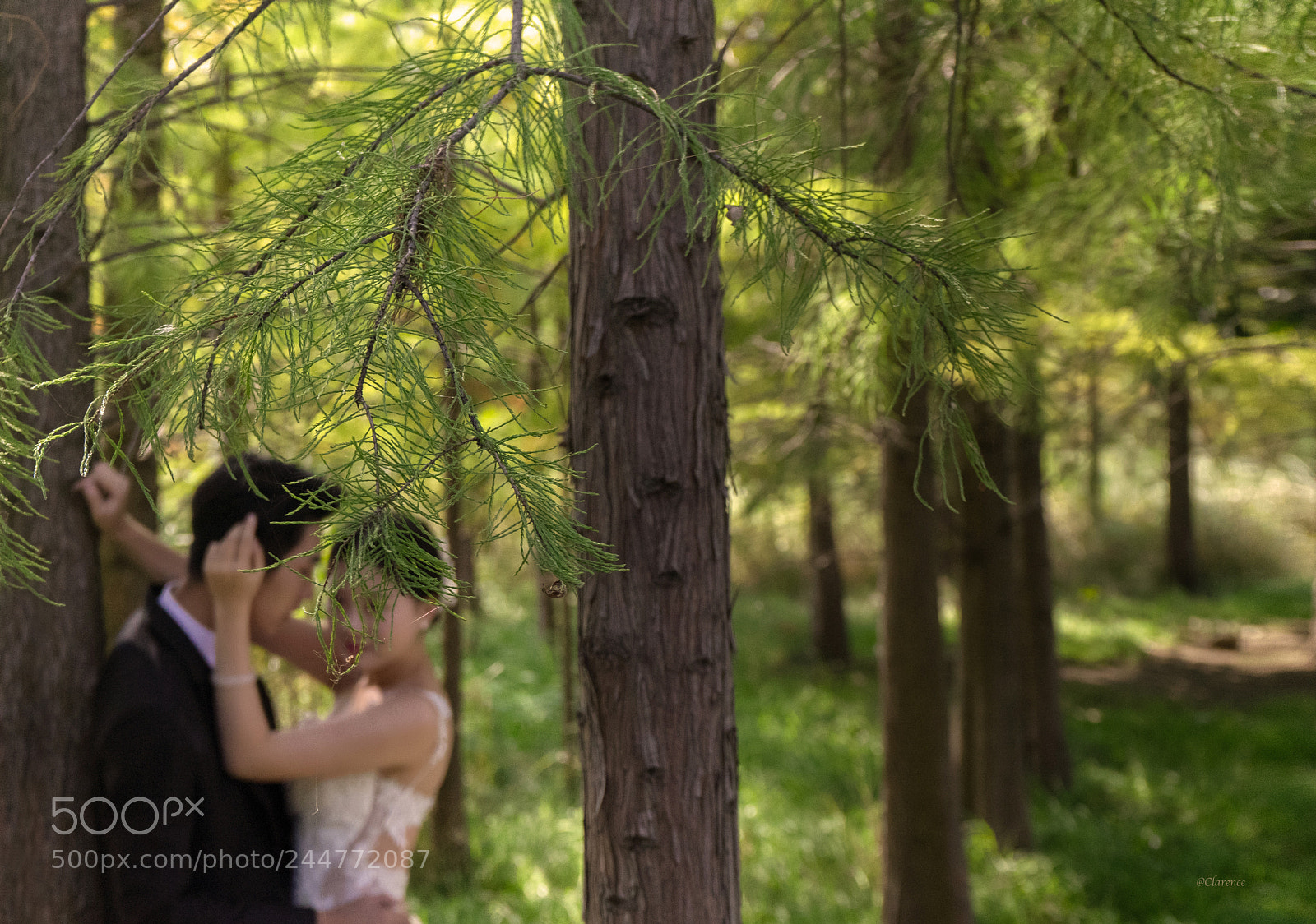 Sony a7 II sample photo. Untitled photography