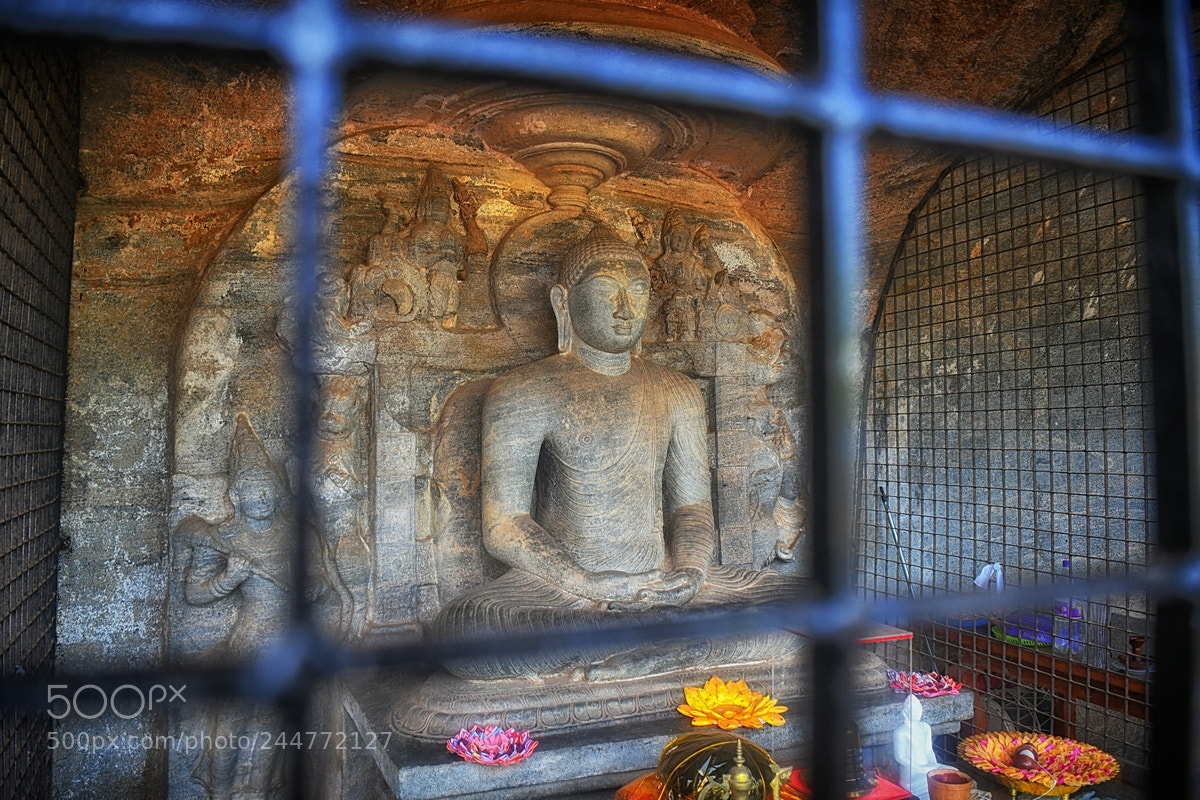 Nikon D500 sample photo. Buddha photography
