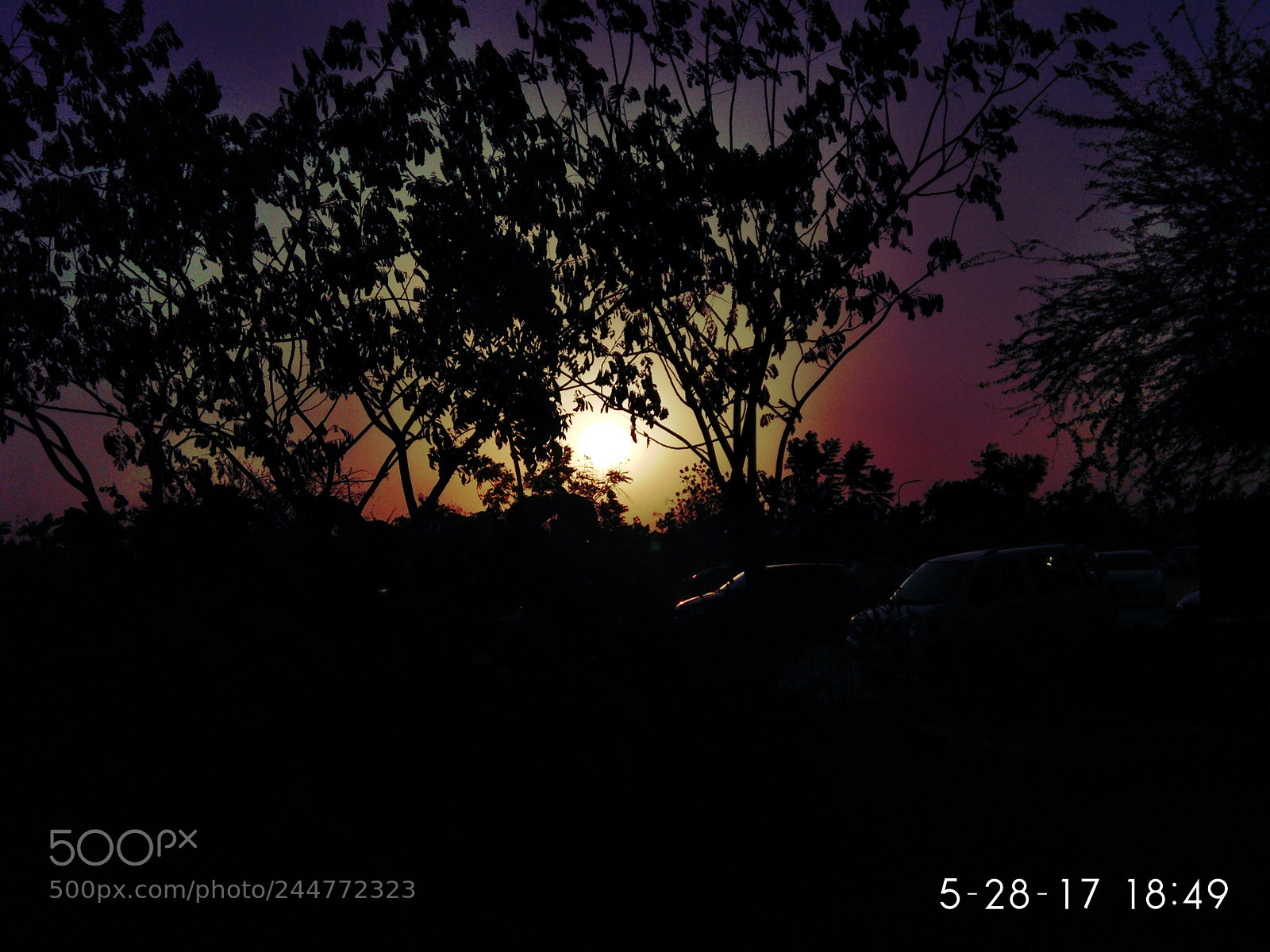 Xiaomi Redmi Note 4 sample photo. Untitled photography
