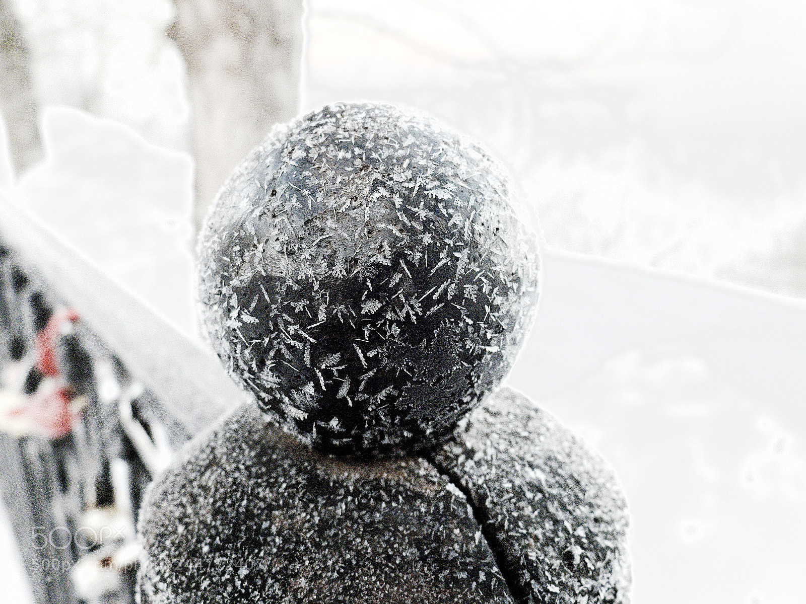 Fujifilm X20 sample photo. Мороз frost photography