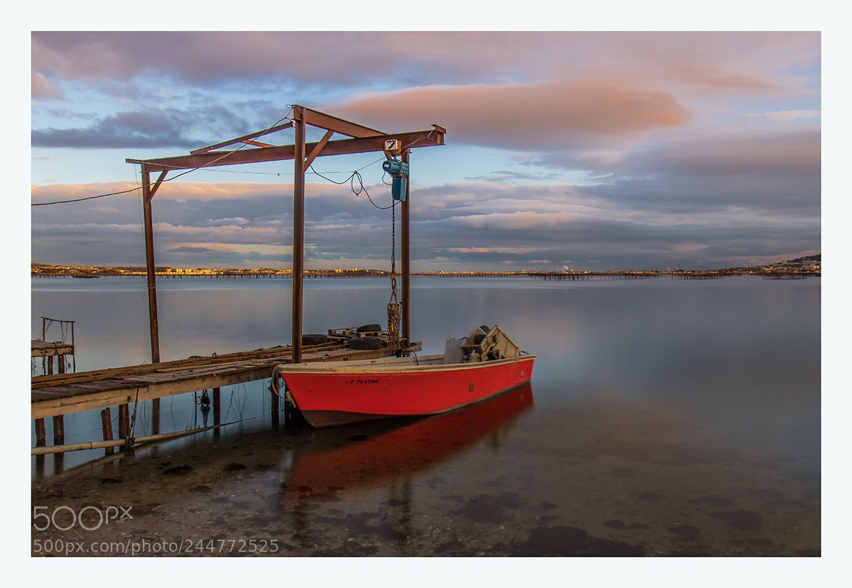 Canon EOS 7D Mark II sample photo. A photography