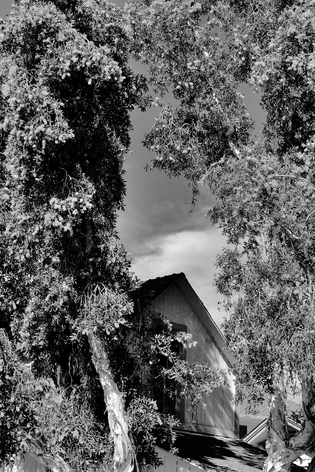Canon EOS 1300D (EOS Rebel T6 / EOS Kiss X80) sample photo. The house in the photography