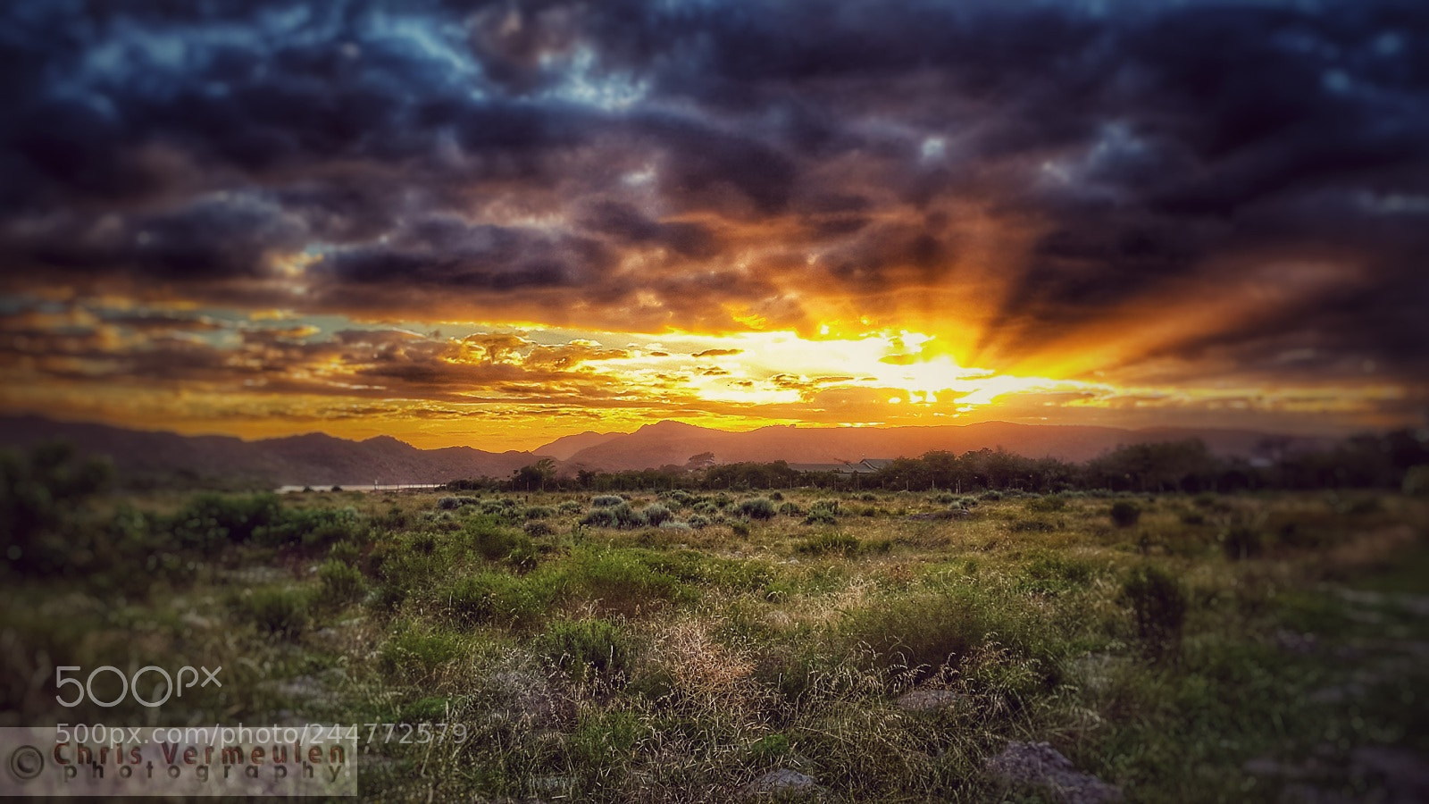 Samsung Galaxy S5 sample photo. Golden rays photography