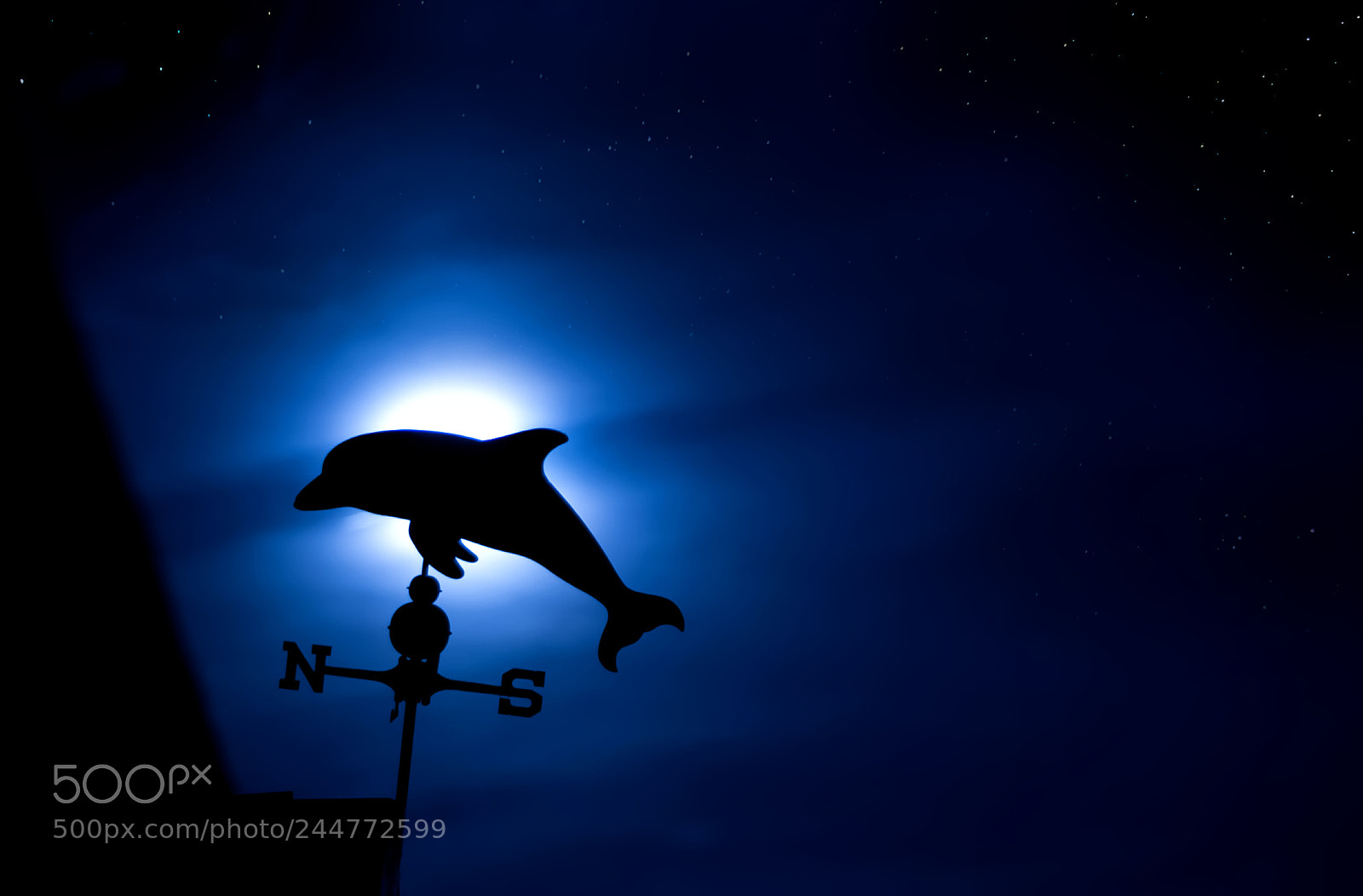 Pentax K-50 sample photo. Moon behind dolphin photography