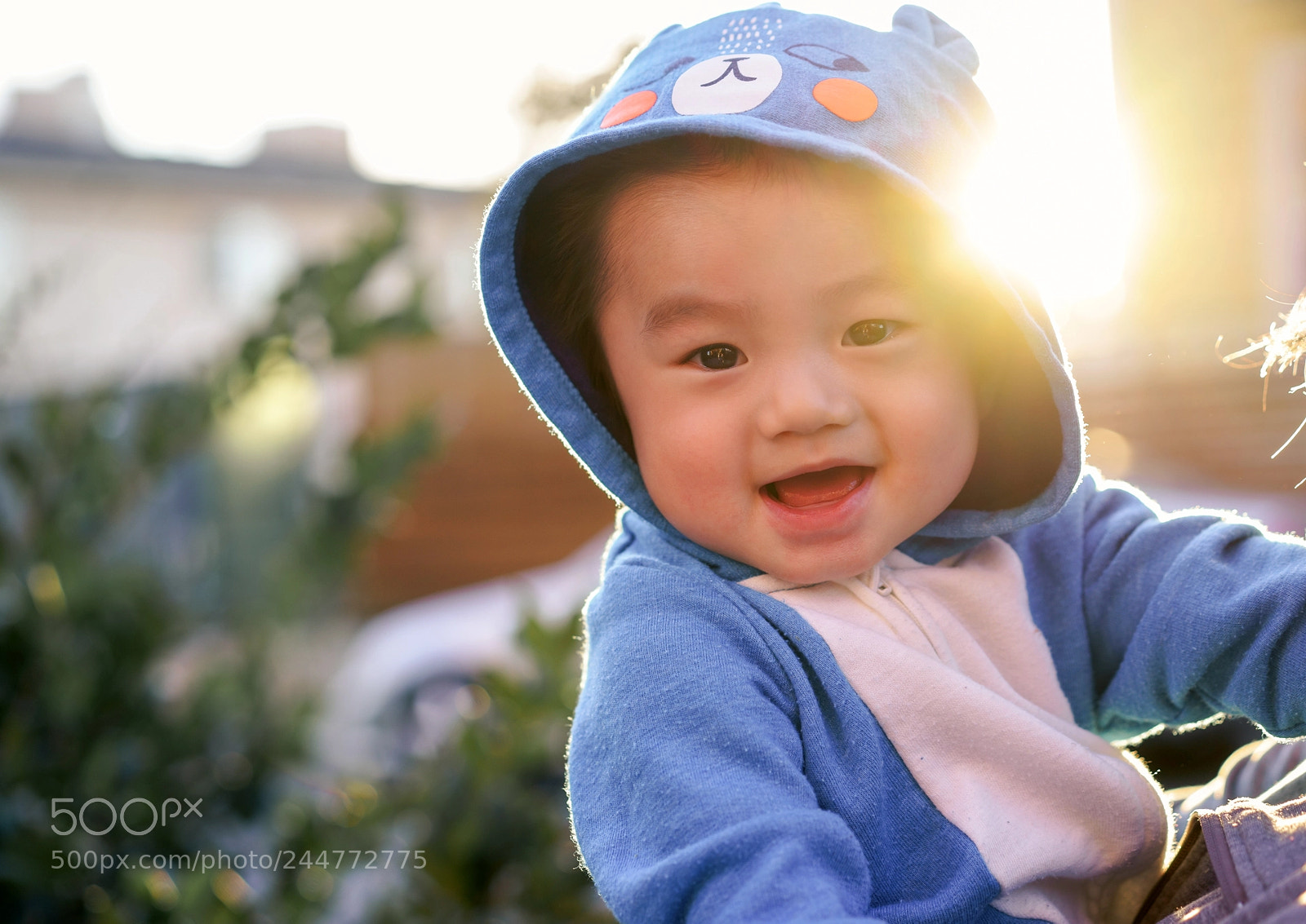 Sony a7R II sample photo. Dsc photography