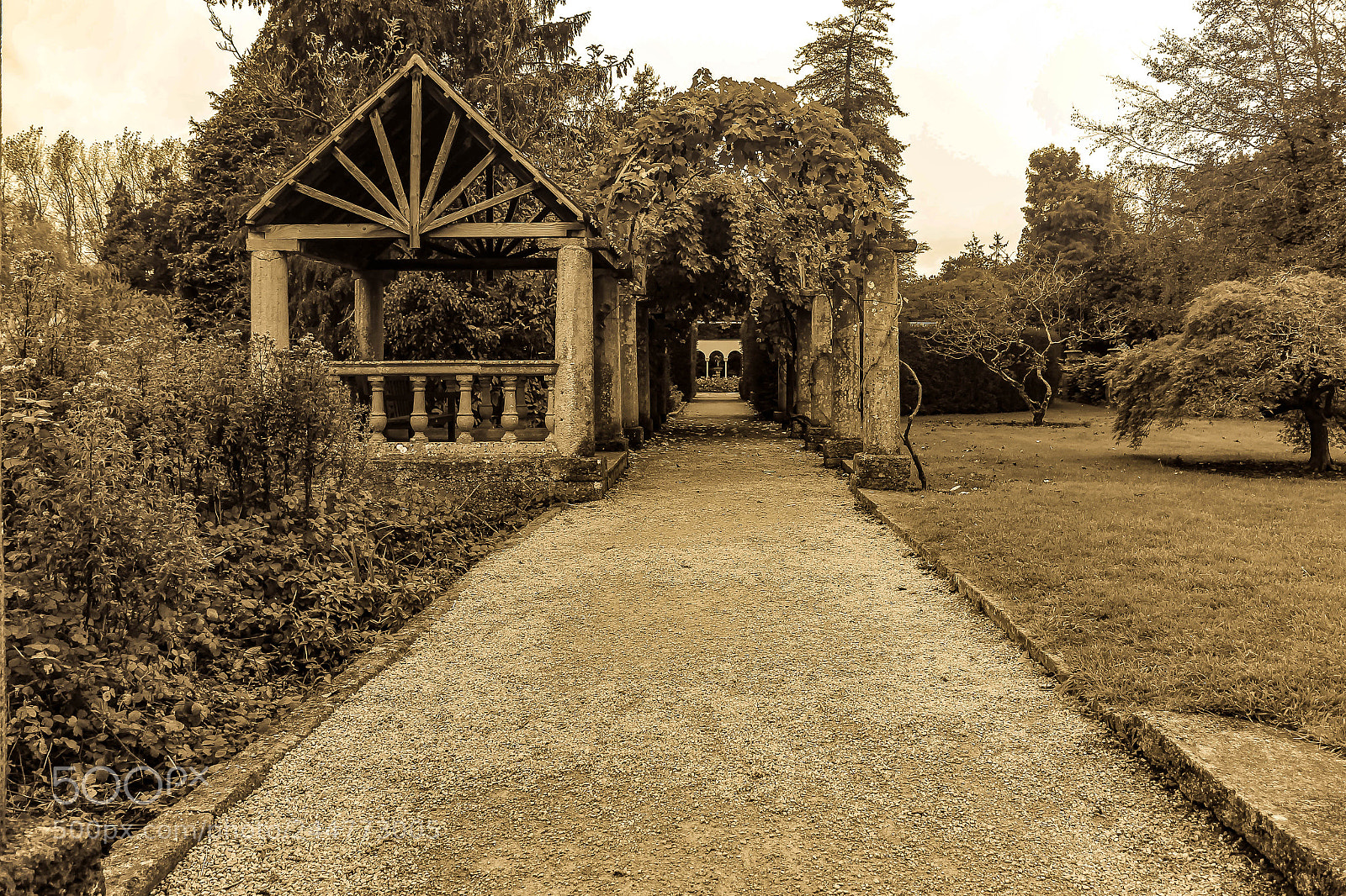 Canon EOS 60D sample photo. The vine walk photography