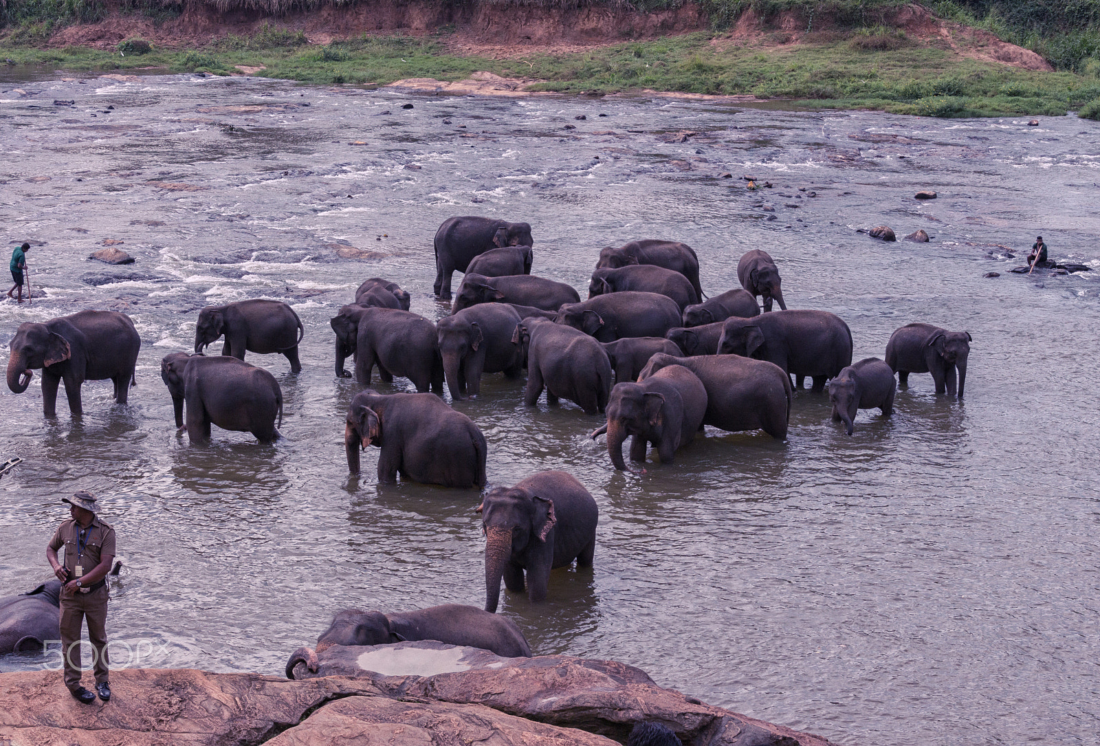 Canon EOS 650D (EOS Rebel T4i / EOS Kiss X6i) sample photo. Elephant orphanage photography