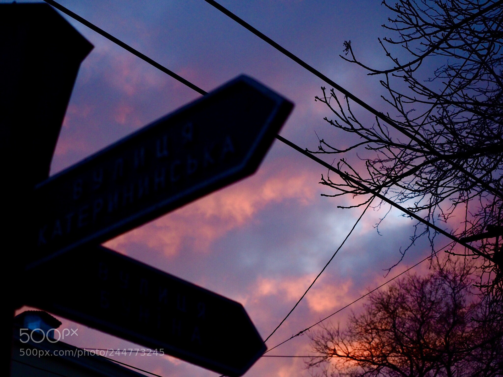 Olympus OM-D E-M1 Mark II sample photo. Закат #5 photography