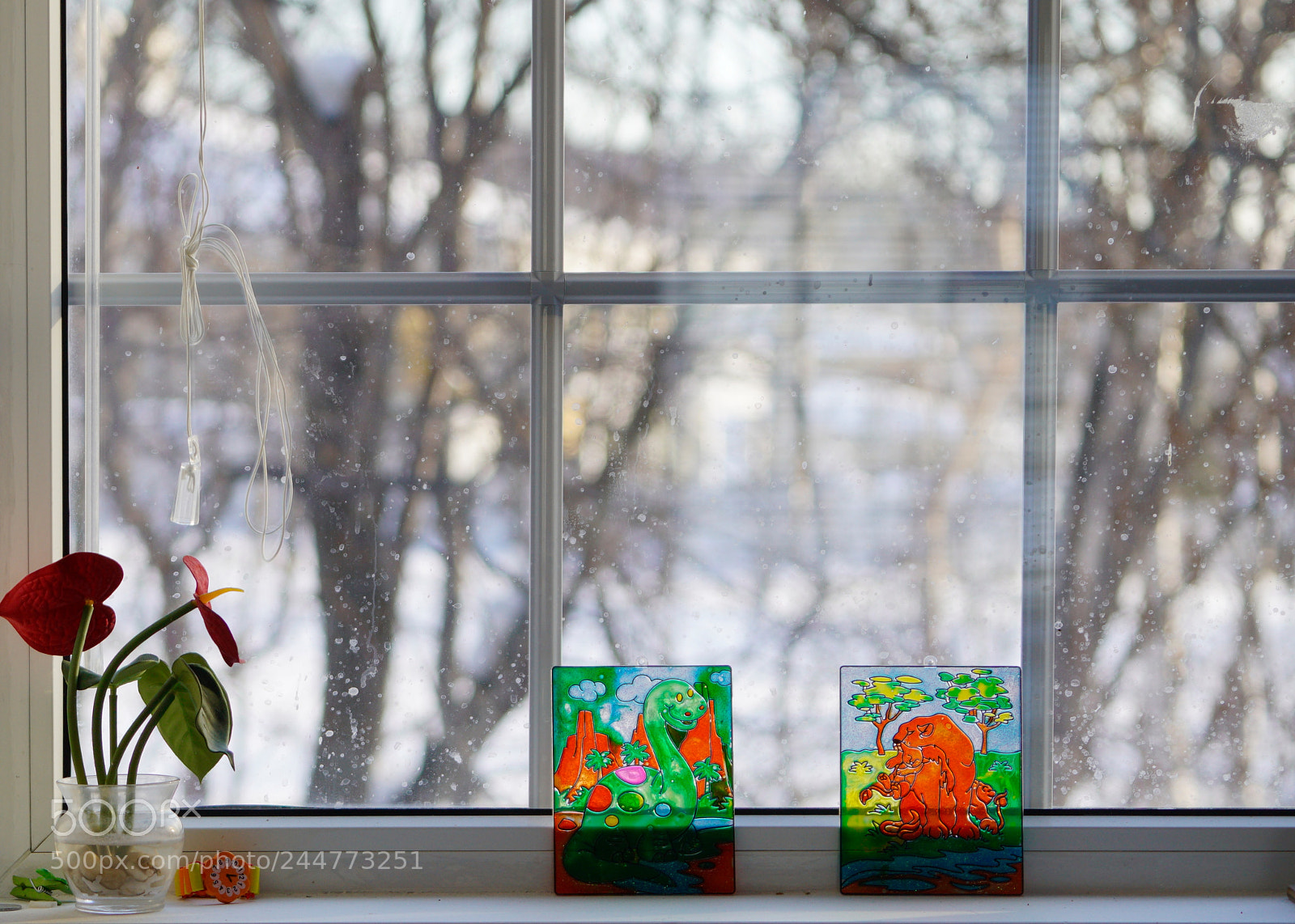 Sony a99 II sample photo. Window photography