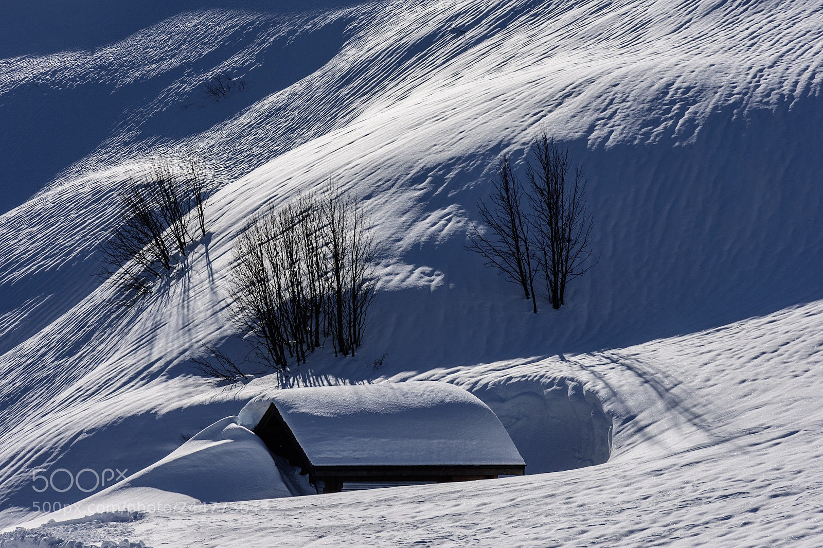 Nikon D7200 sample photo. Winterwonderland photography