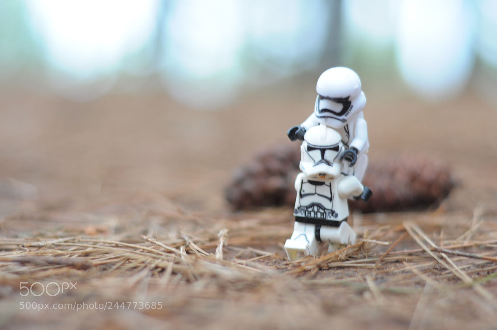 Nikon D90 sample photo. Troopers on vacation photography