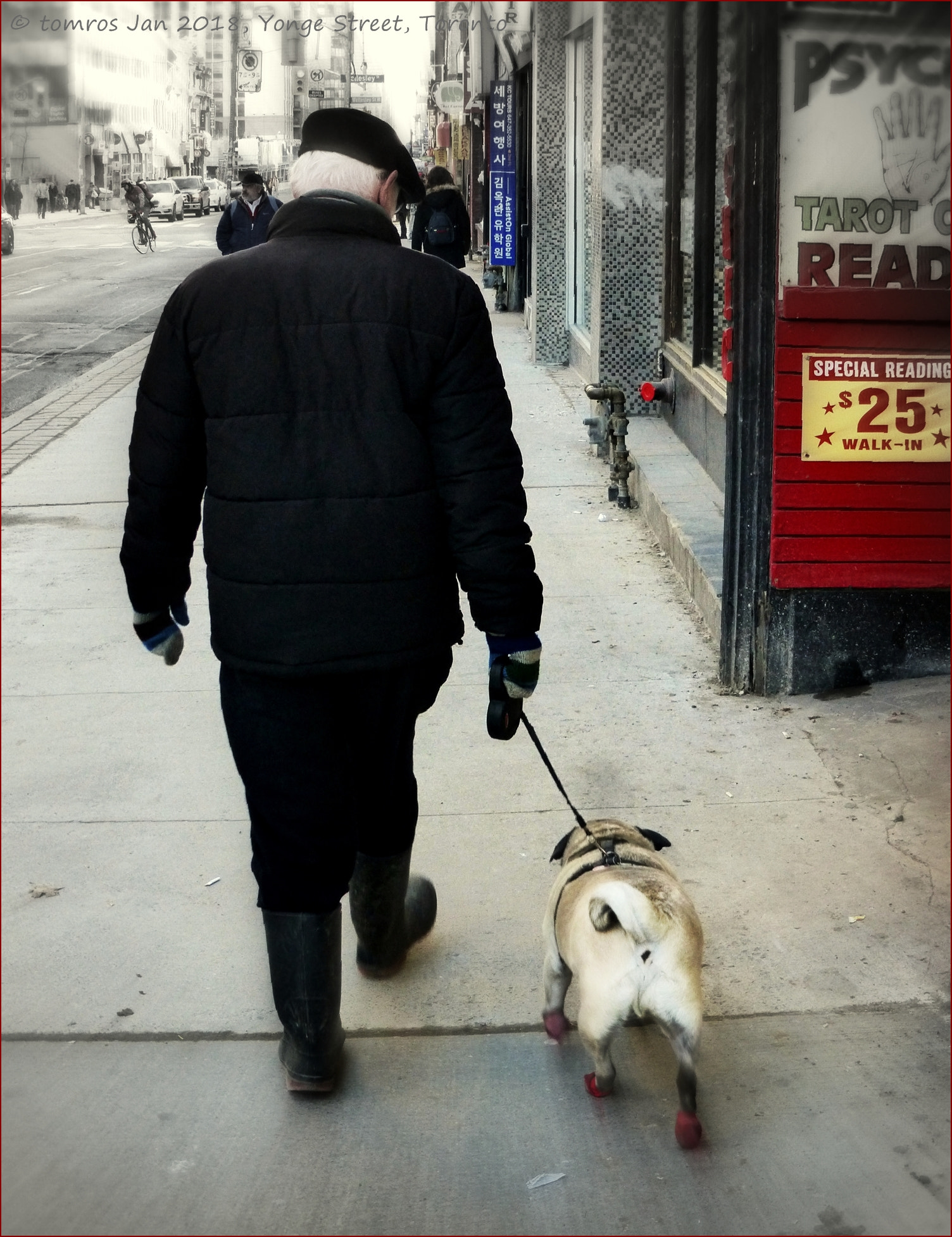 Panasonic Lumix DMC-ZS25 (Lumix DMC-TZ35) sample photo. Yonge street doggie. photography