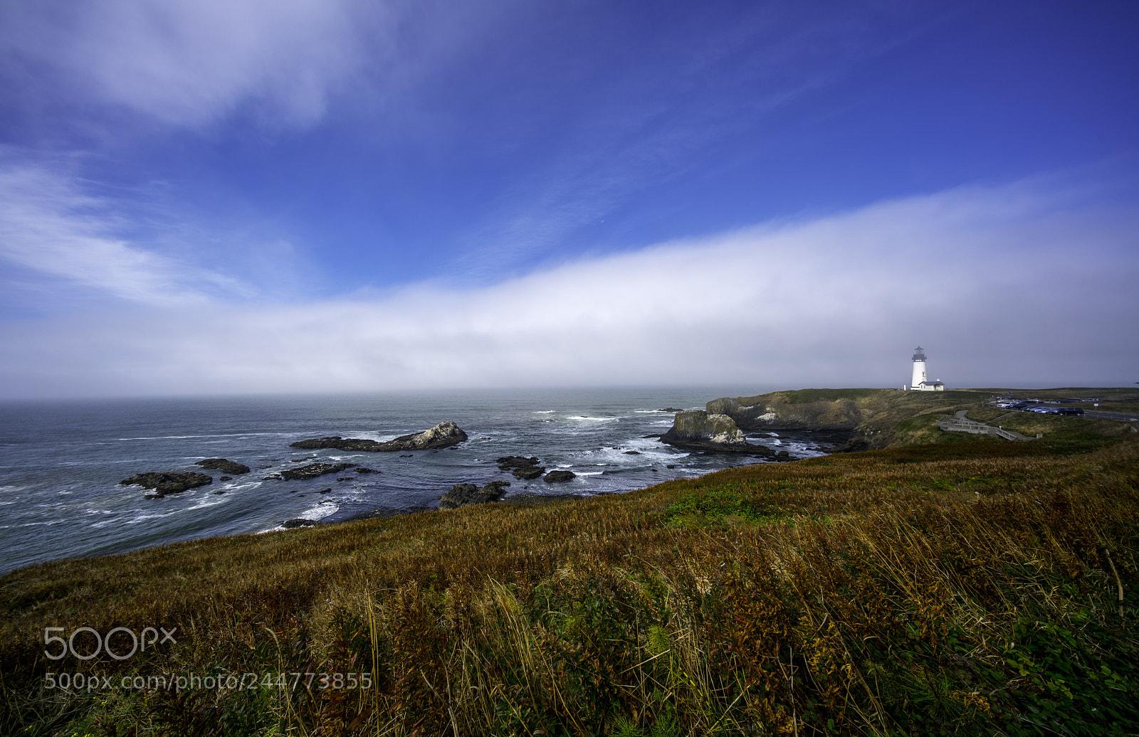 Sony a7R II sample photo. Yaquina head lighthouse photography
