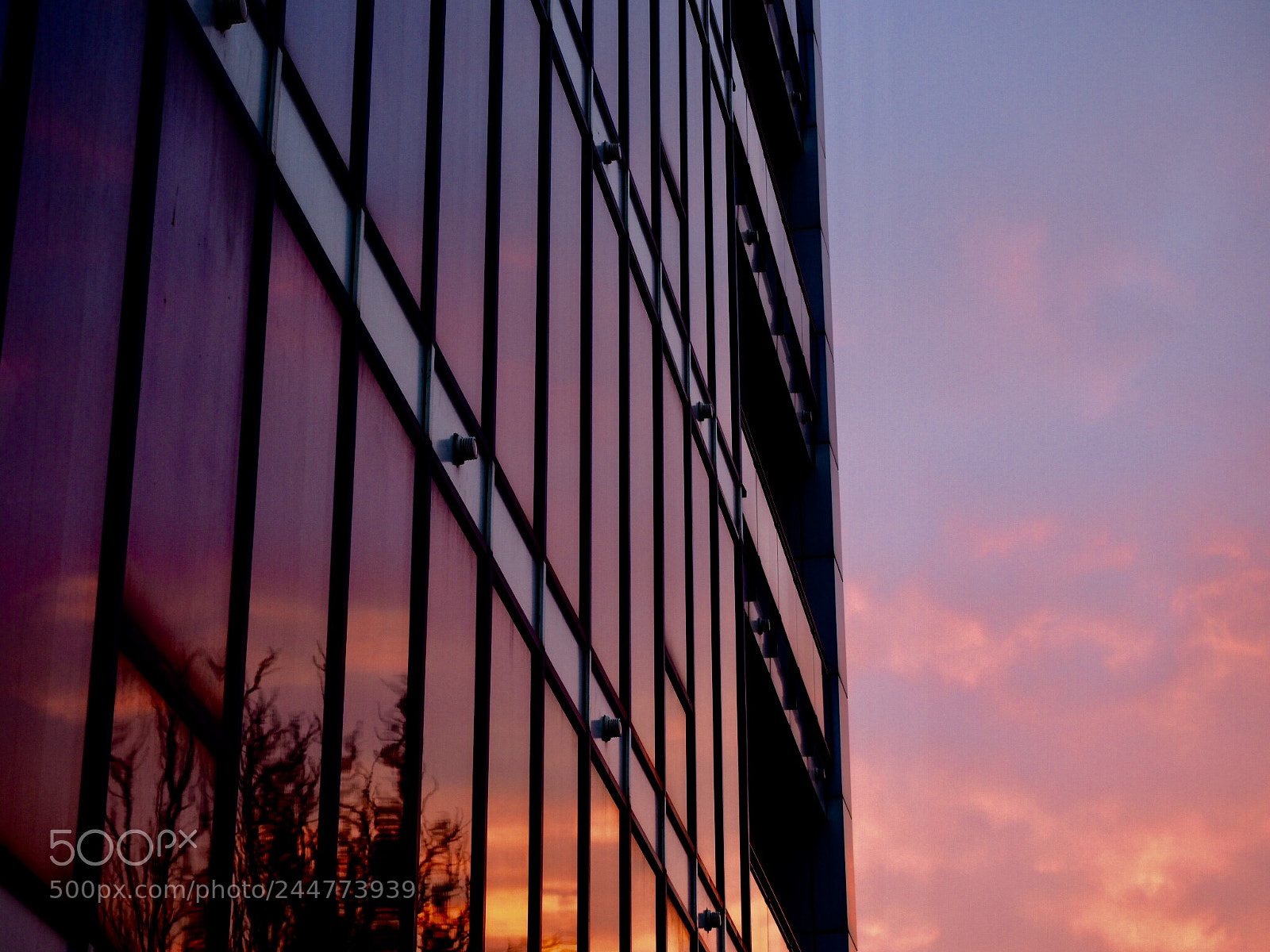 Olympus OM-D E-M1 Mark II sample photo. Закат #9 photography
