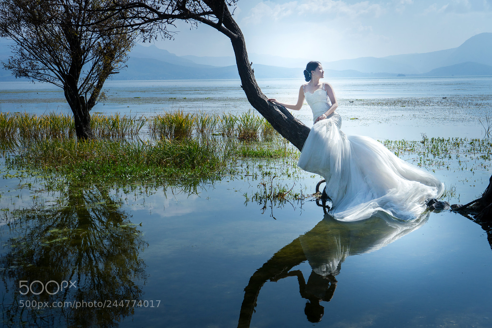 Sony a7 II sample photo. Untitled photography