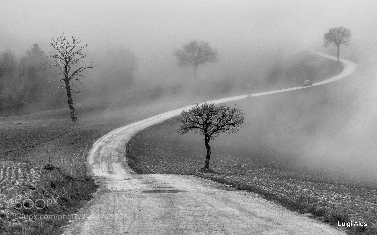 Fujifilm X-M1 sample photo. Foggy road photography