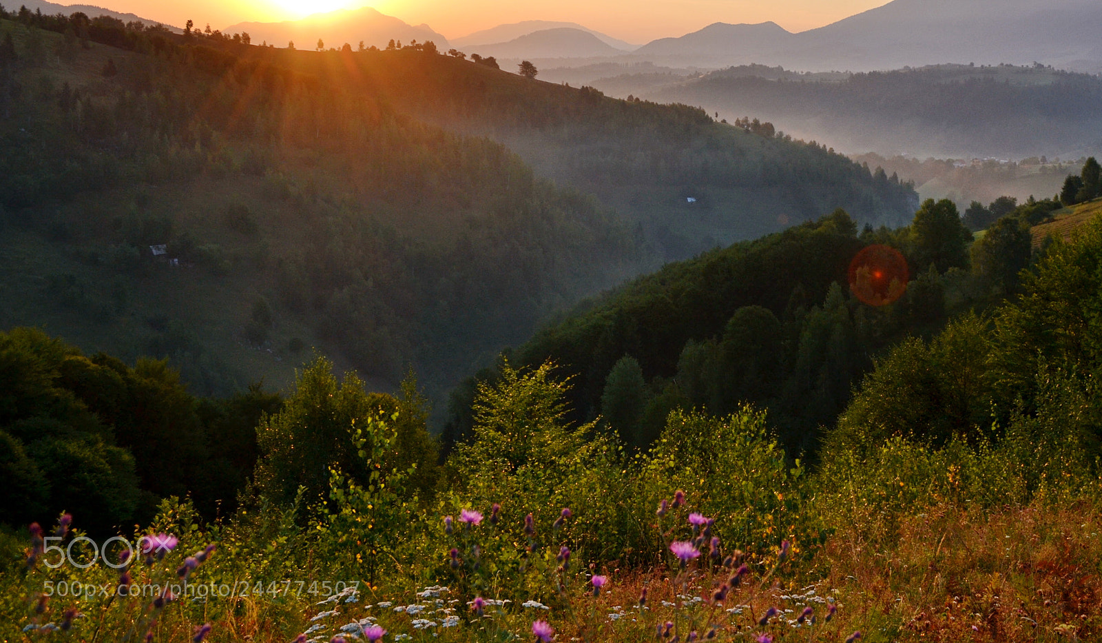 Nikon D3100 sample photo. Sunrise at pestera photography