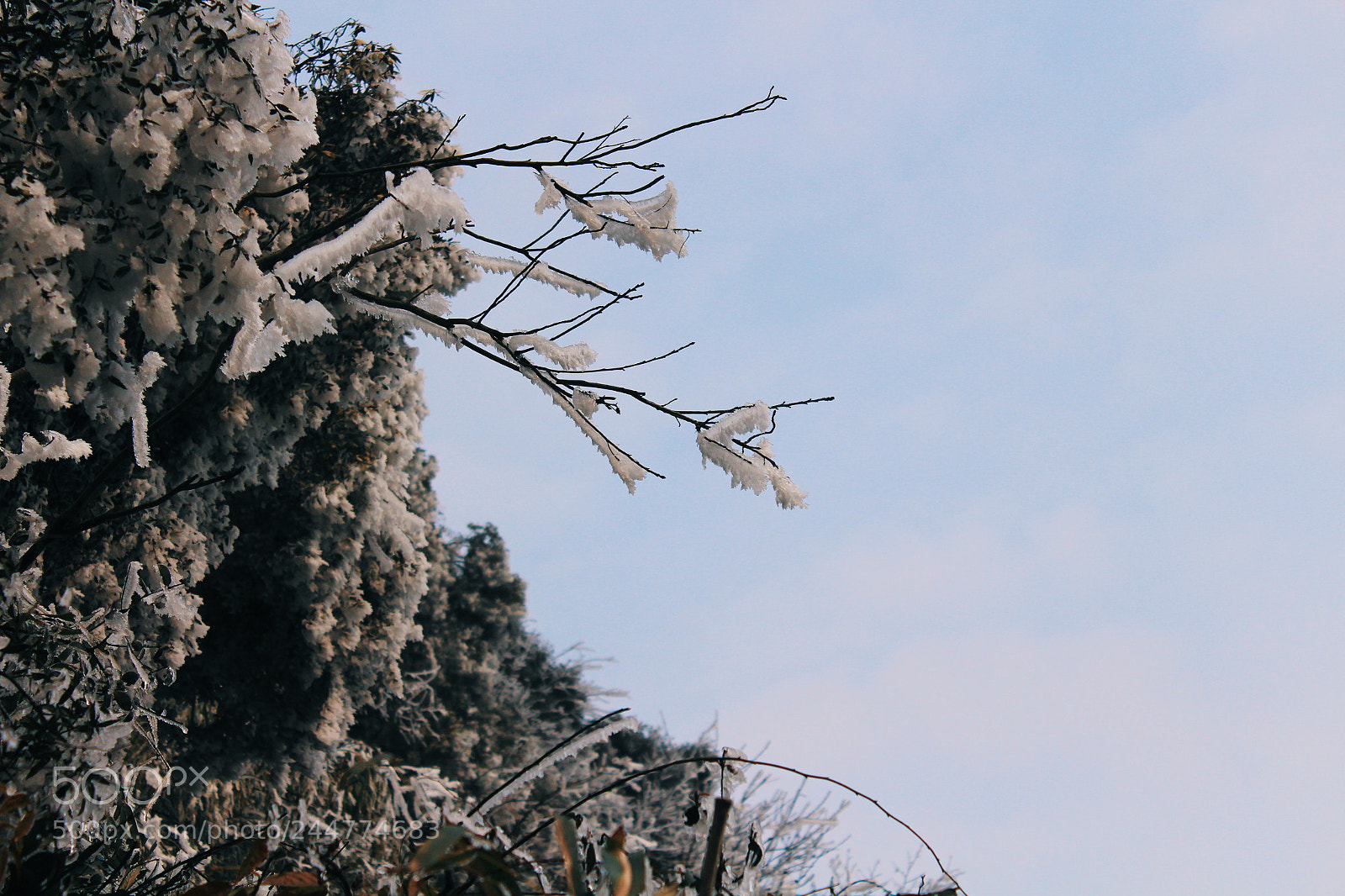 Canon EOS 650D (EOS Rebel T4i / EOS Kiss X6i) sample photo. 天桥山 photography