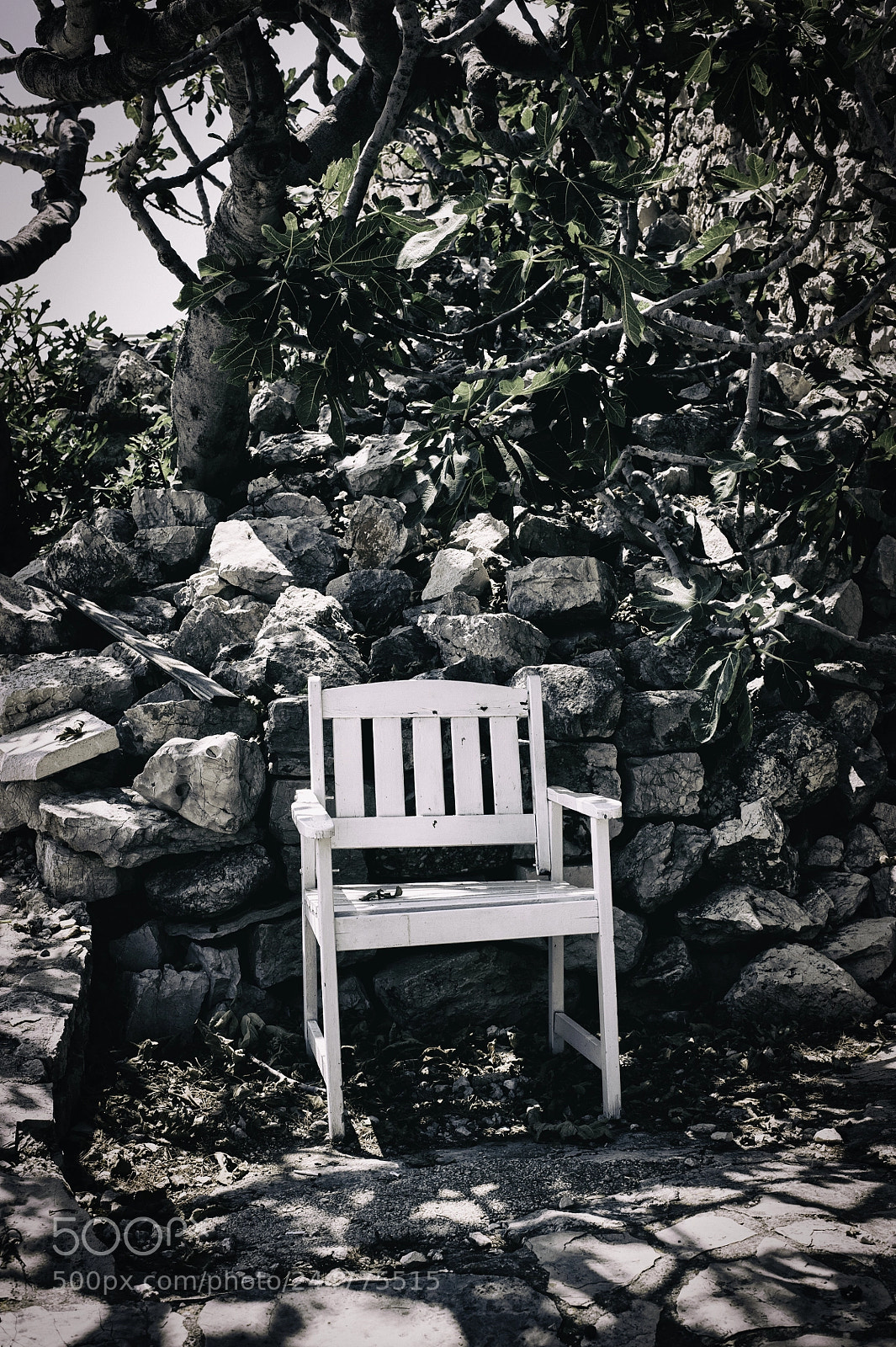 Nikon D700 sample photo. Croatia photography
