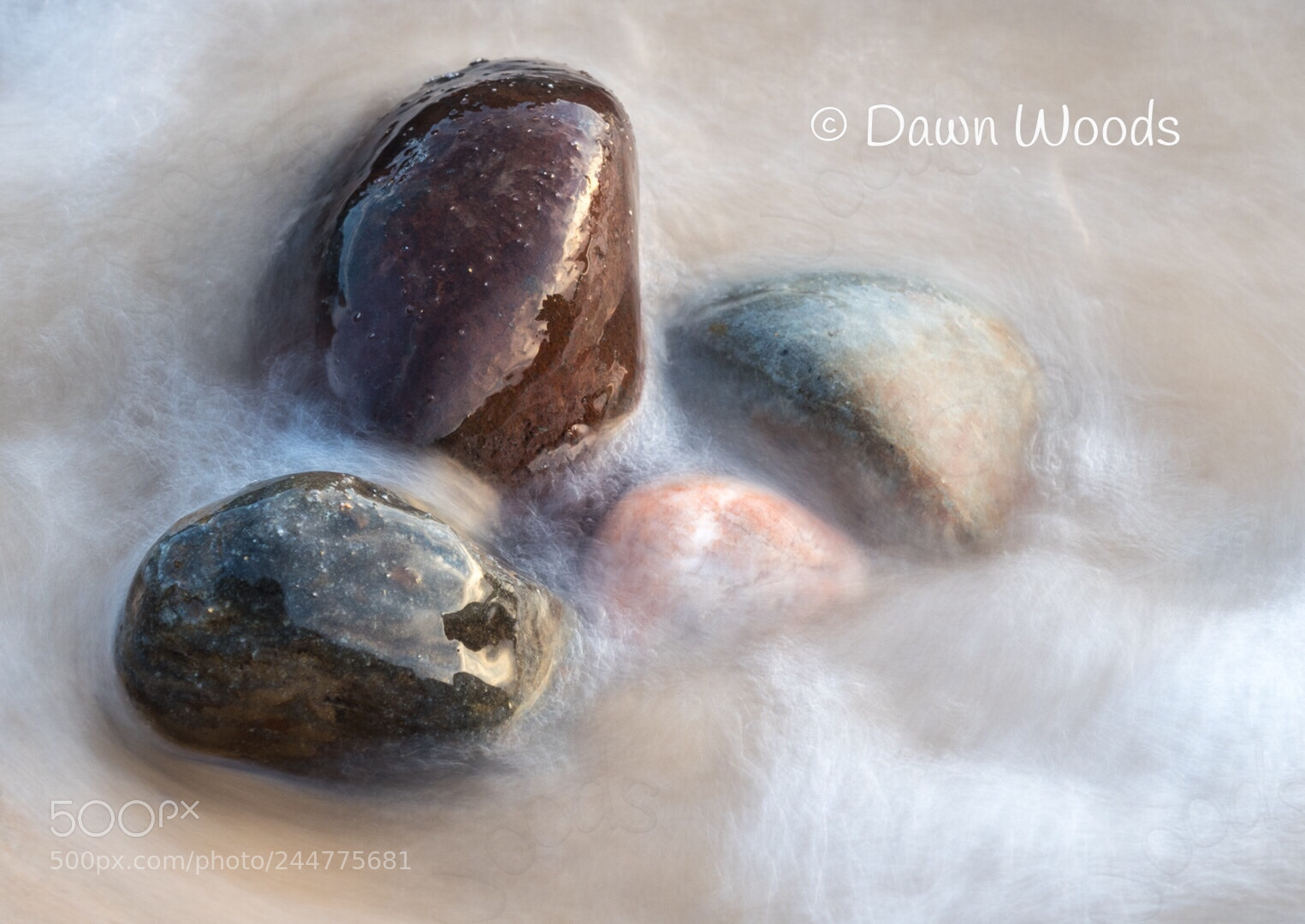 Olympus OM-D E-M1 Mark II sample photo. Beach eggs 1 photography