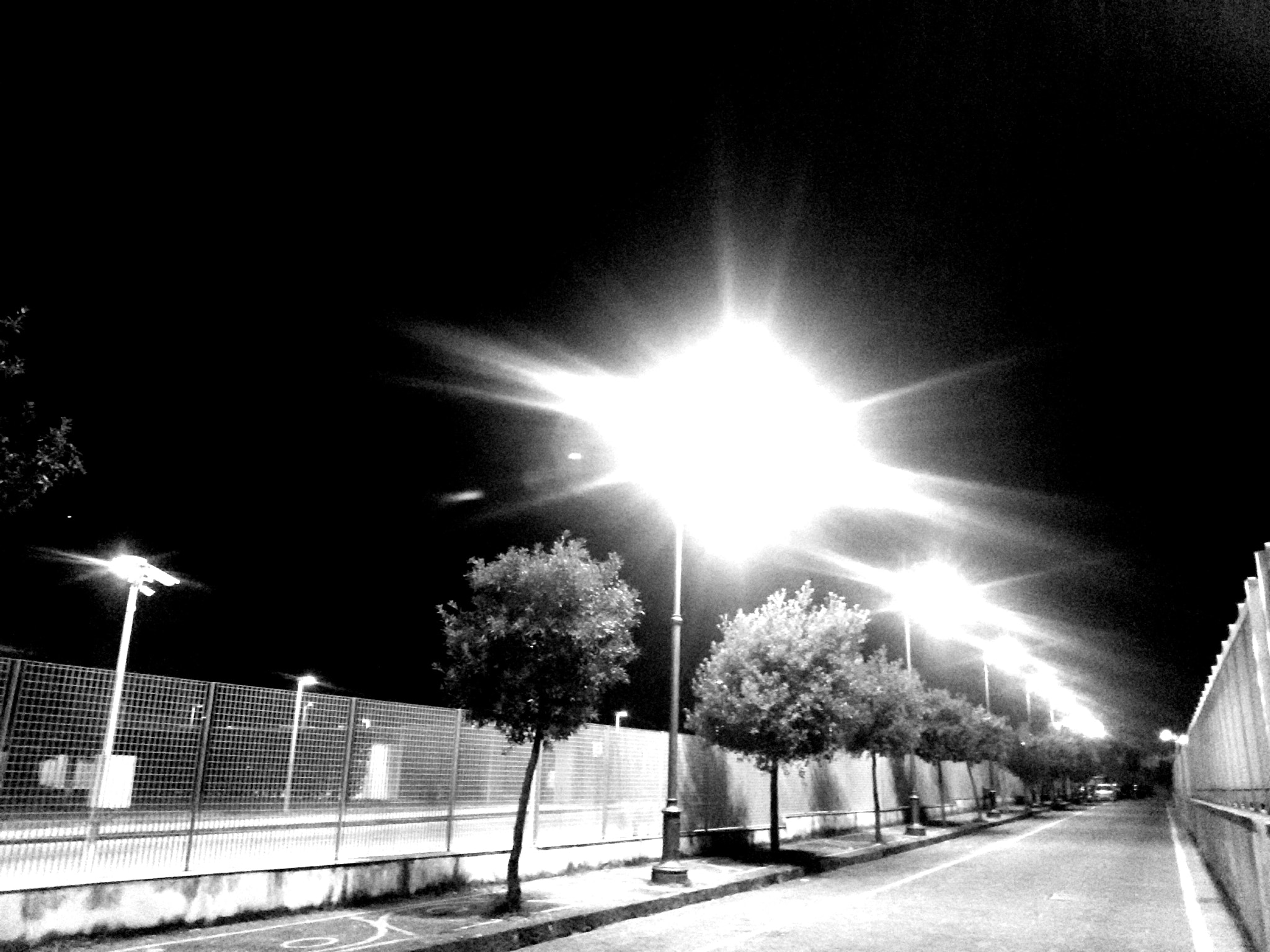 Samsung Galaxy S3 Neo sample photo